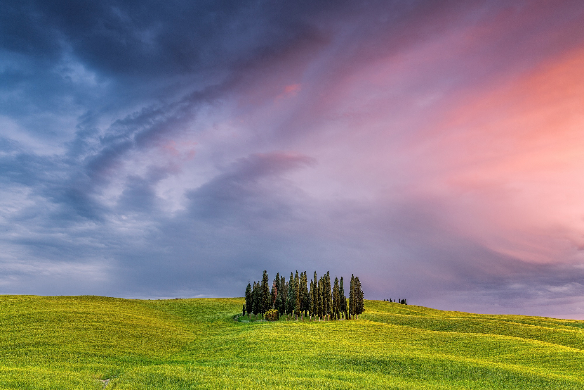 Cypress Tree, Tuscany field, Italy, HD nature, 2000x1340 HD Desktop
