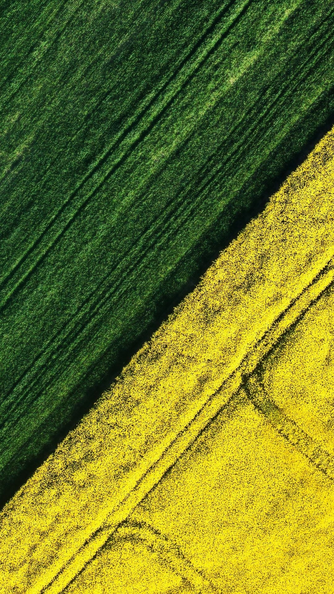 Farm: An area of land, used for growing crops, Aerial view. 1080x1920 Full HD Wallpaper.