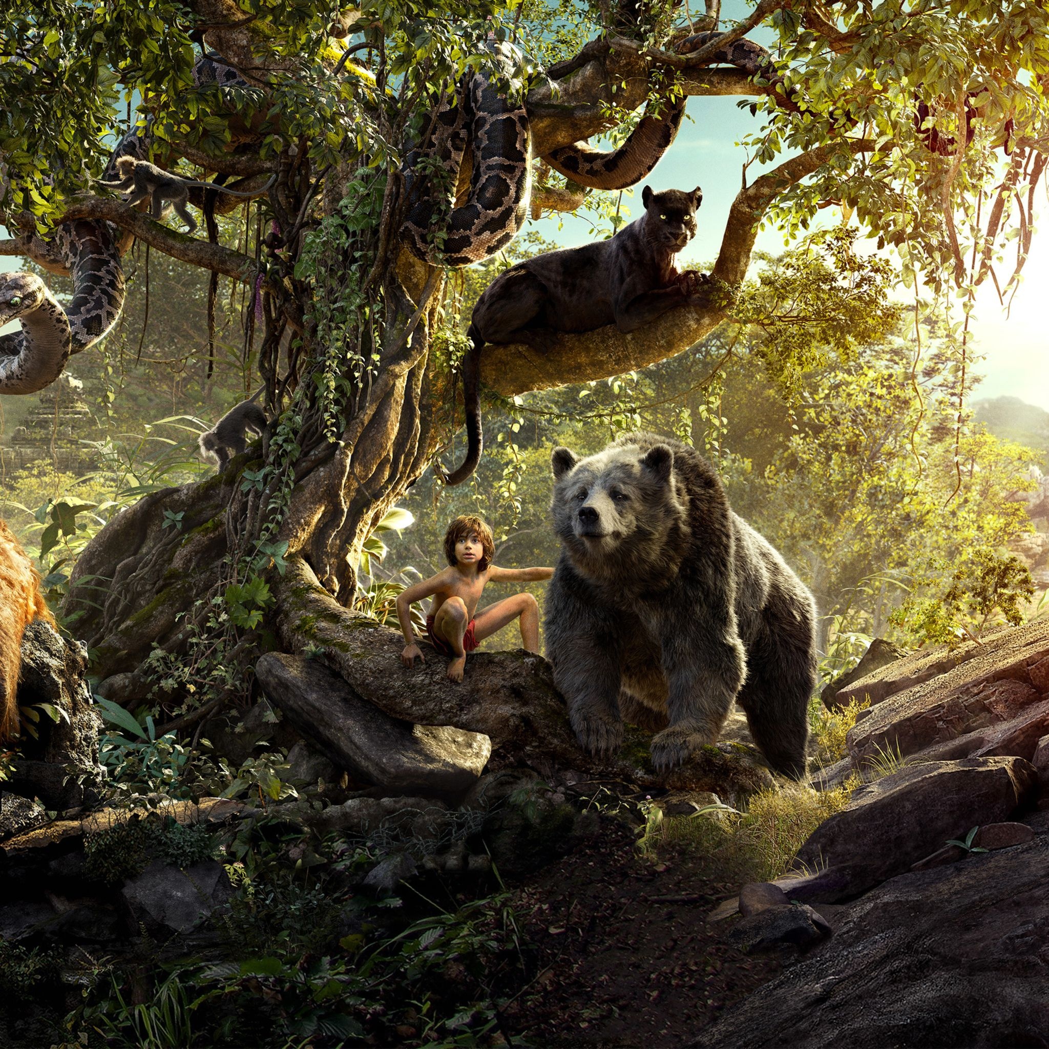 The Jungle Book (Movie), Enchanting wilderness, Mowgli's adventure, Majestic creatures, 2050x2050 HD Phone