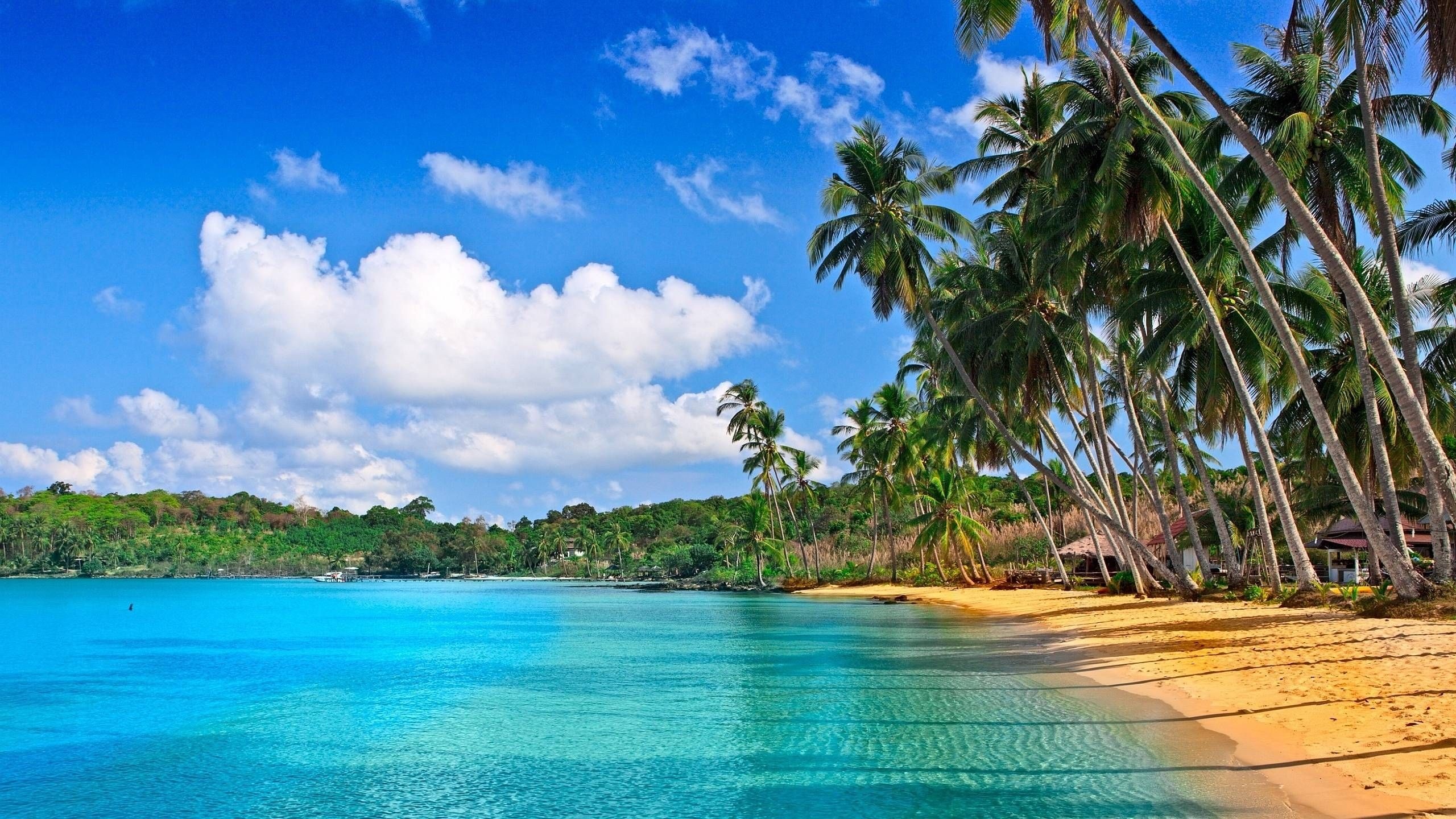 Caribbean beach paradise, Desktop wallpapers, Tropical getaway, Coastal beauty, 2560x1440 HD Desktop