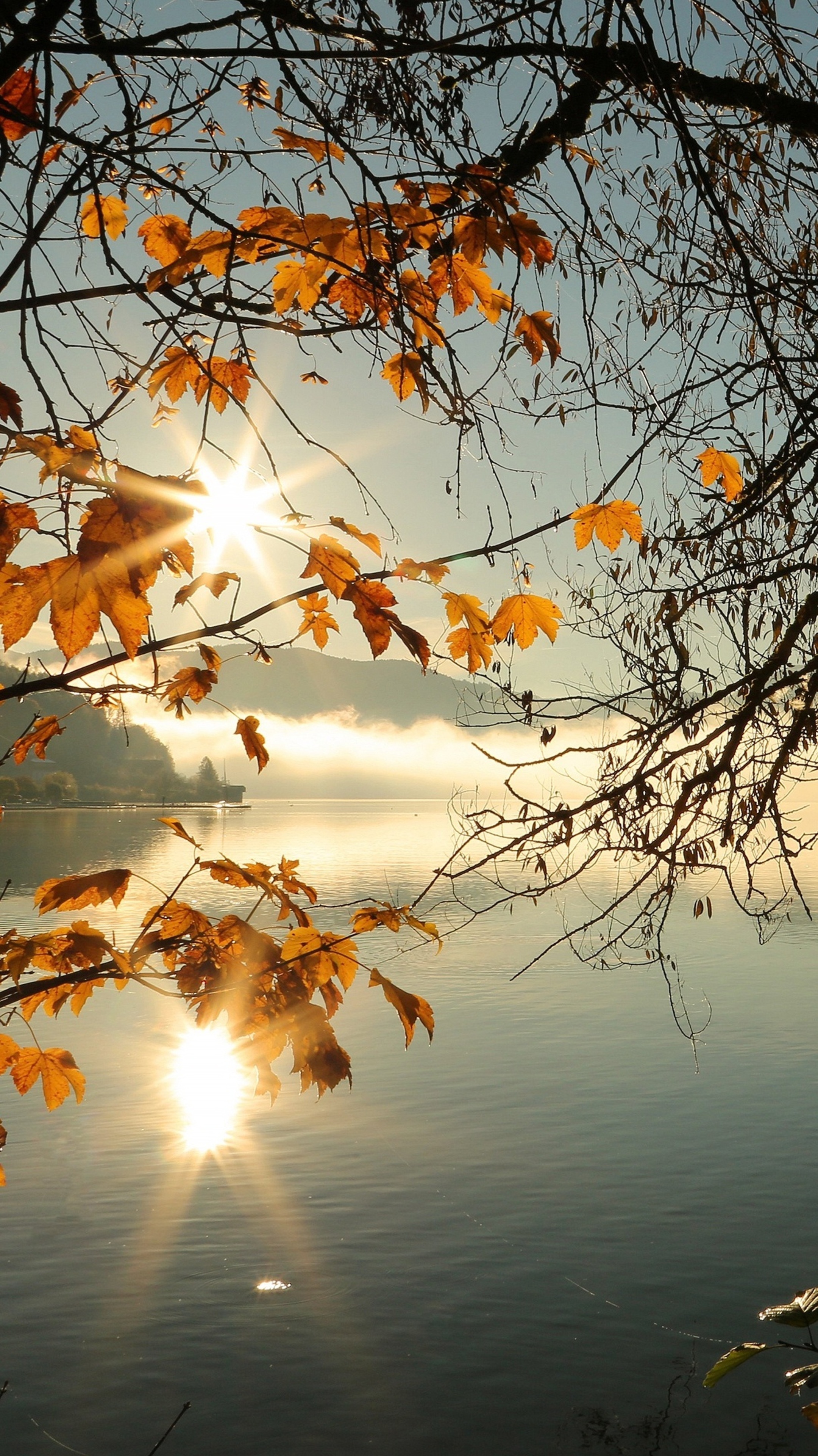 Autumn tree, Sunbeams, Peaceful morning, Calming lake, 2160x3840 4K Phone