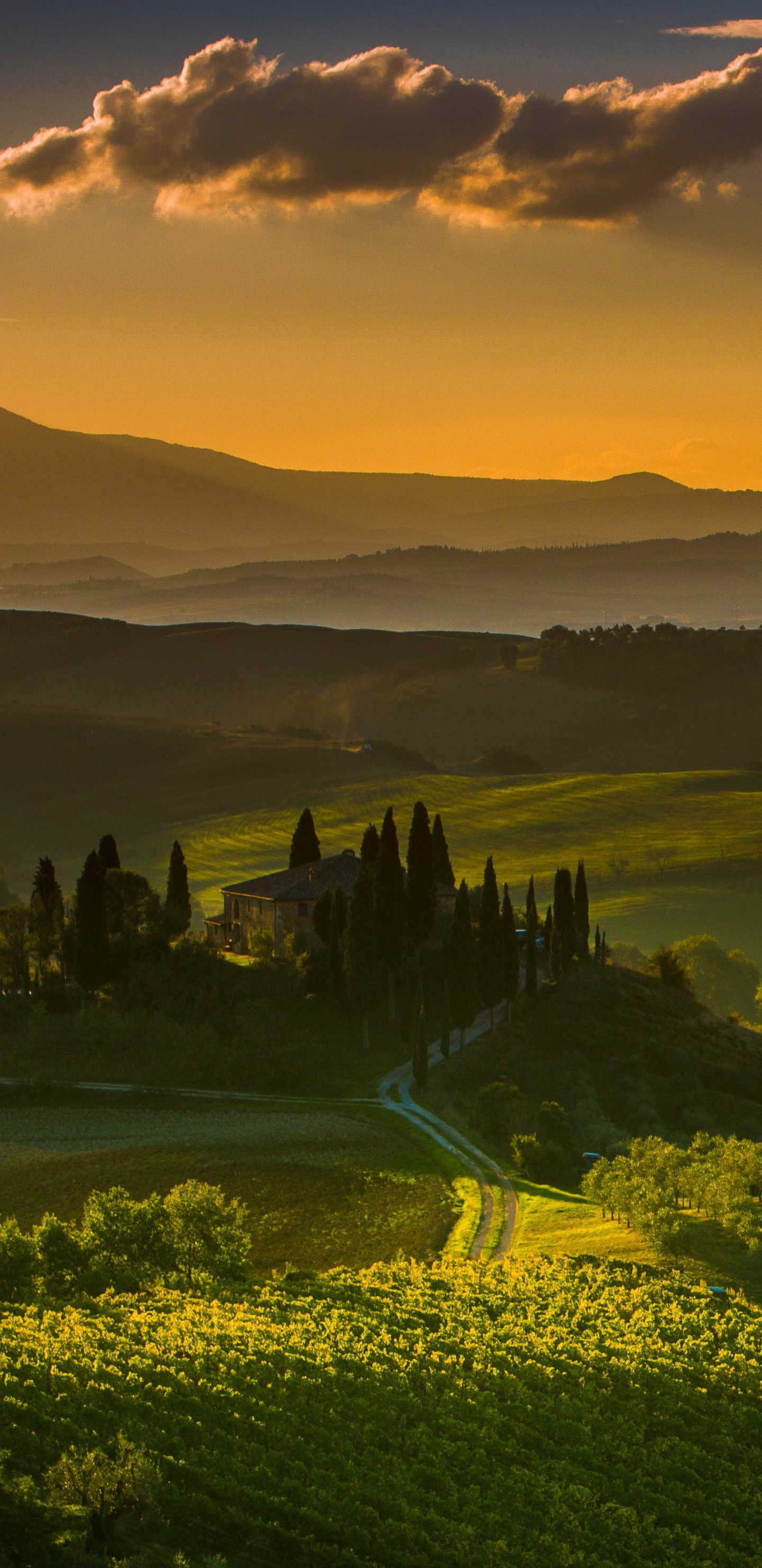 Photography Tuscany, Captivating beauty, Breathtaking landscapes, Stunning views, 1440x2960 HD Handy