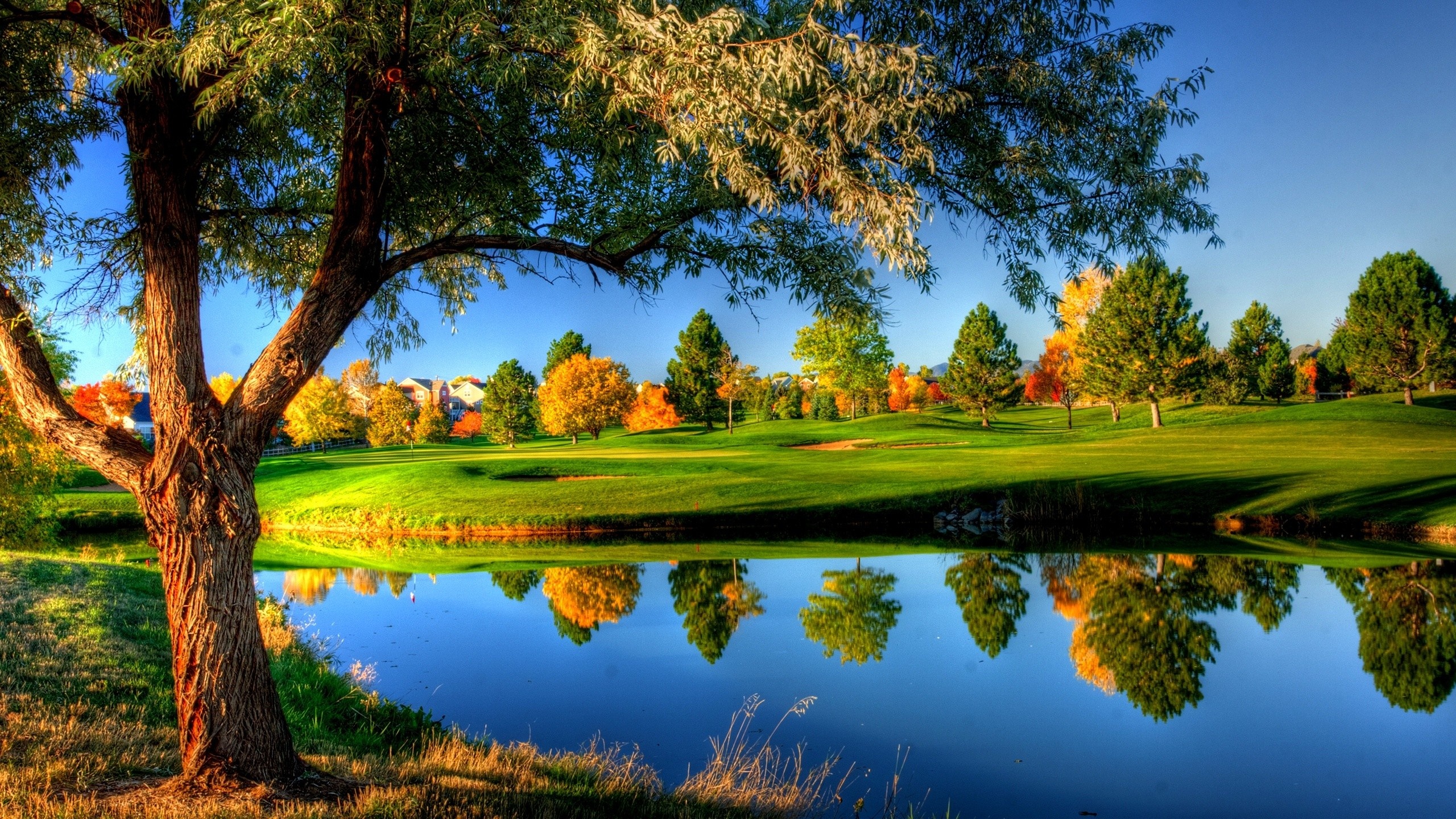 Golf Course: Landscape, Fall, Water, Nature, Reflection, Grass, River, Trees, Autumn, Meadow, Sport venue. 2560x1440 HD Background.