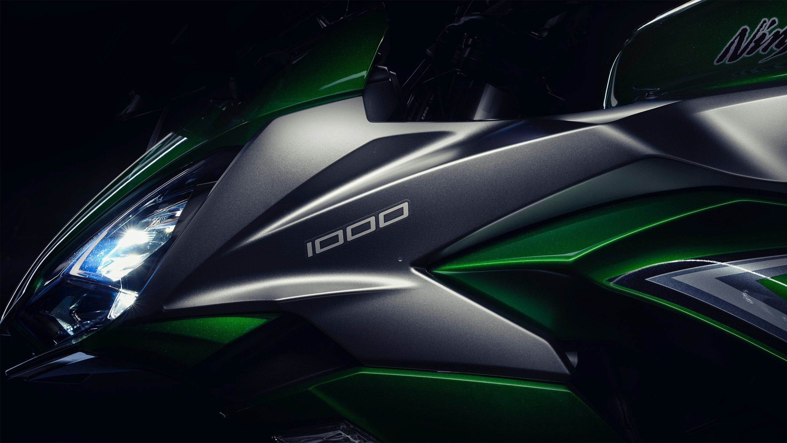 Kawasaki Ninja 1000, Closeup view, Nighttime ambiance, Dark background, 2560x1440 HD Desktop