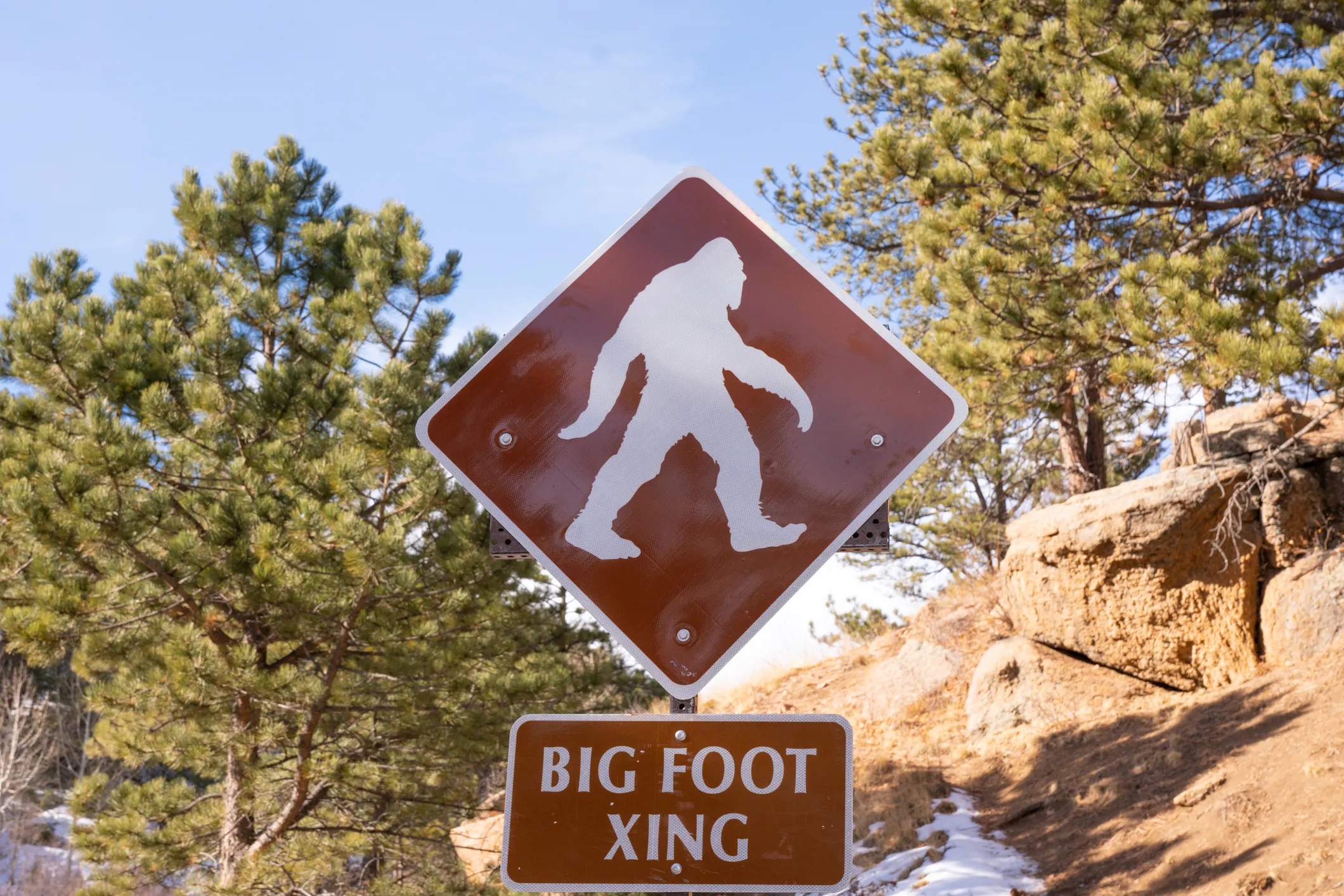 Bigfoot, Mountain lions, Exist, Mysterious creature, 2120x1420 HD Desktop
