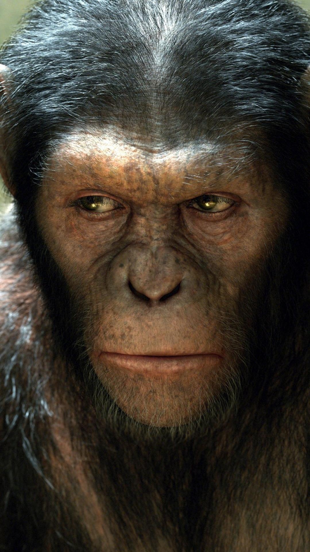 Planet of the Apes, Movie franchise, Mobile wallpapers, 1080x1920 Full HD Phone