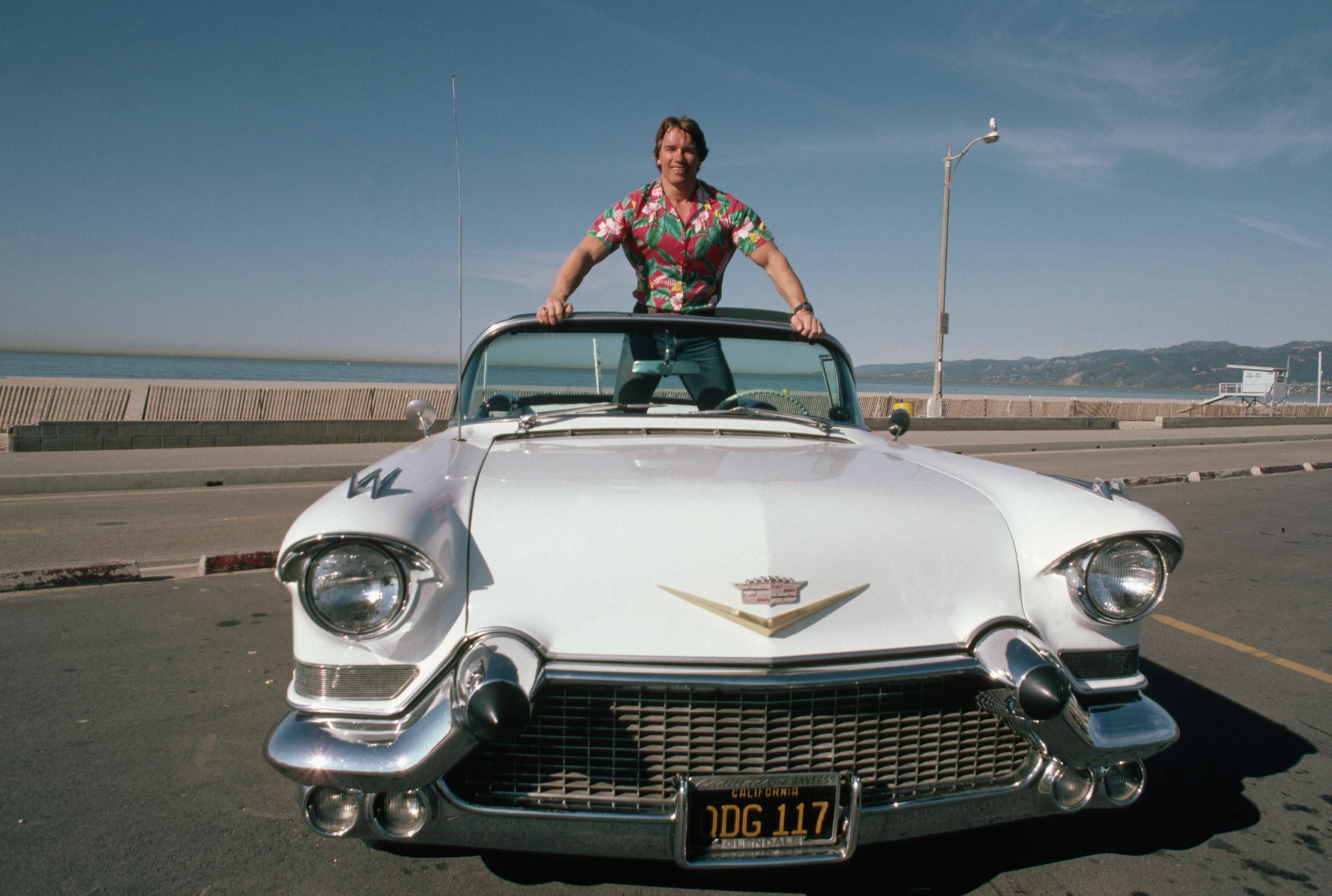 Arnold Schwarzenegger, Iconic pic, Captivating cars, Striking portraits, 3030x2040 HD Desktop