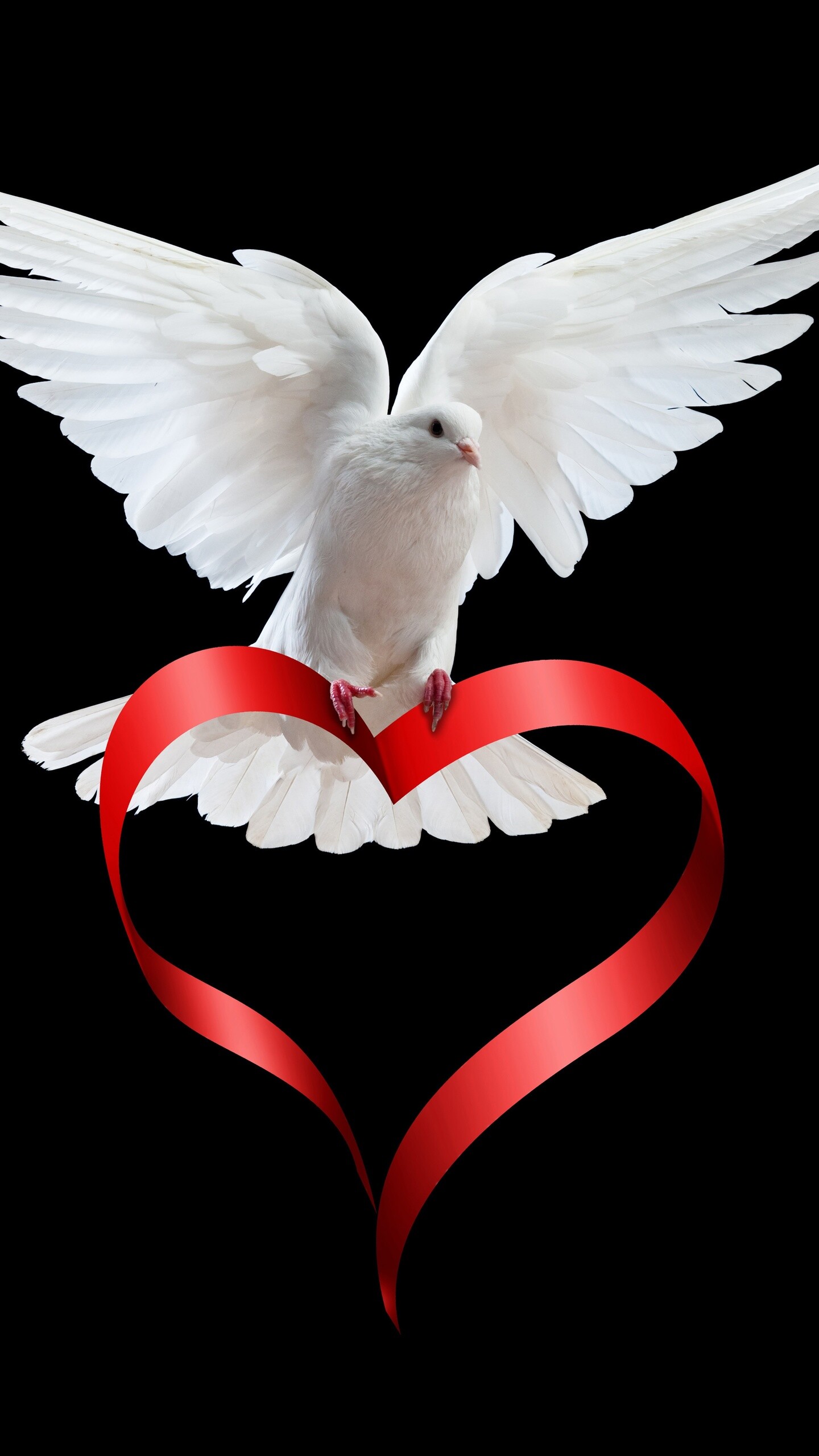 Peace Day: Pigeon, Love, Symbol, Peace Movement. 1440x2560 HD Wallpaper.