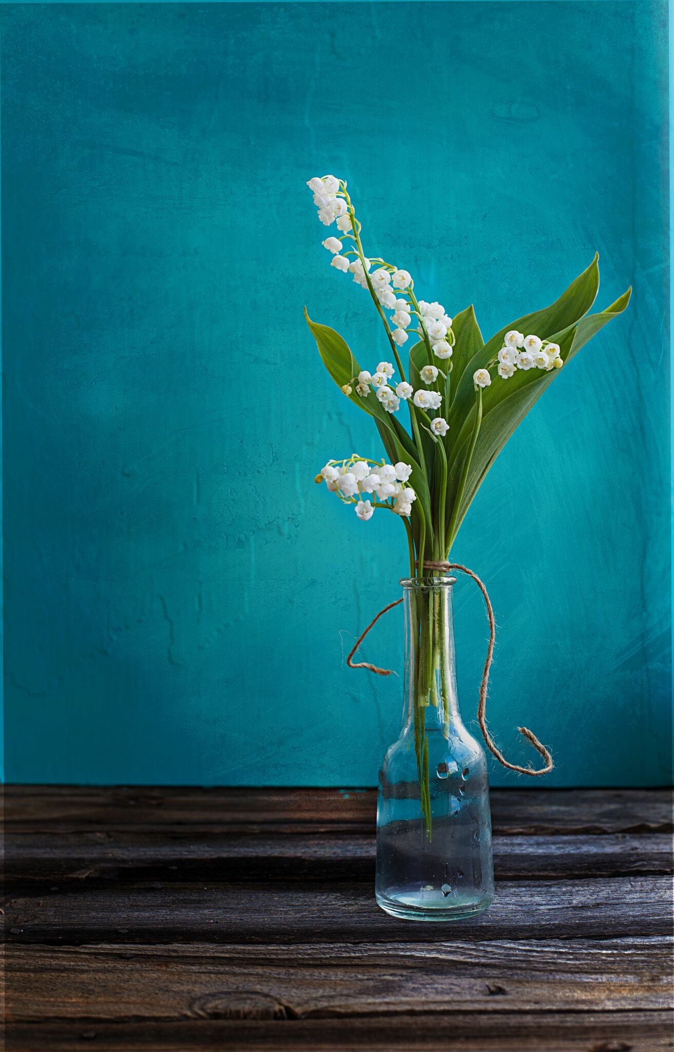 Lily of the Valley: Gained the Royal Horticultural Society's award of Garden Merit, which commends the best plants for home gardeners, Flower. 1320x2050 HD Wallpaper.