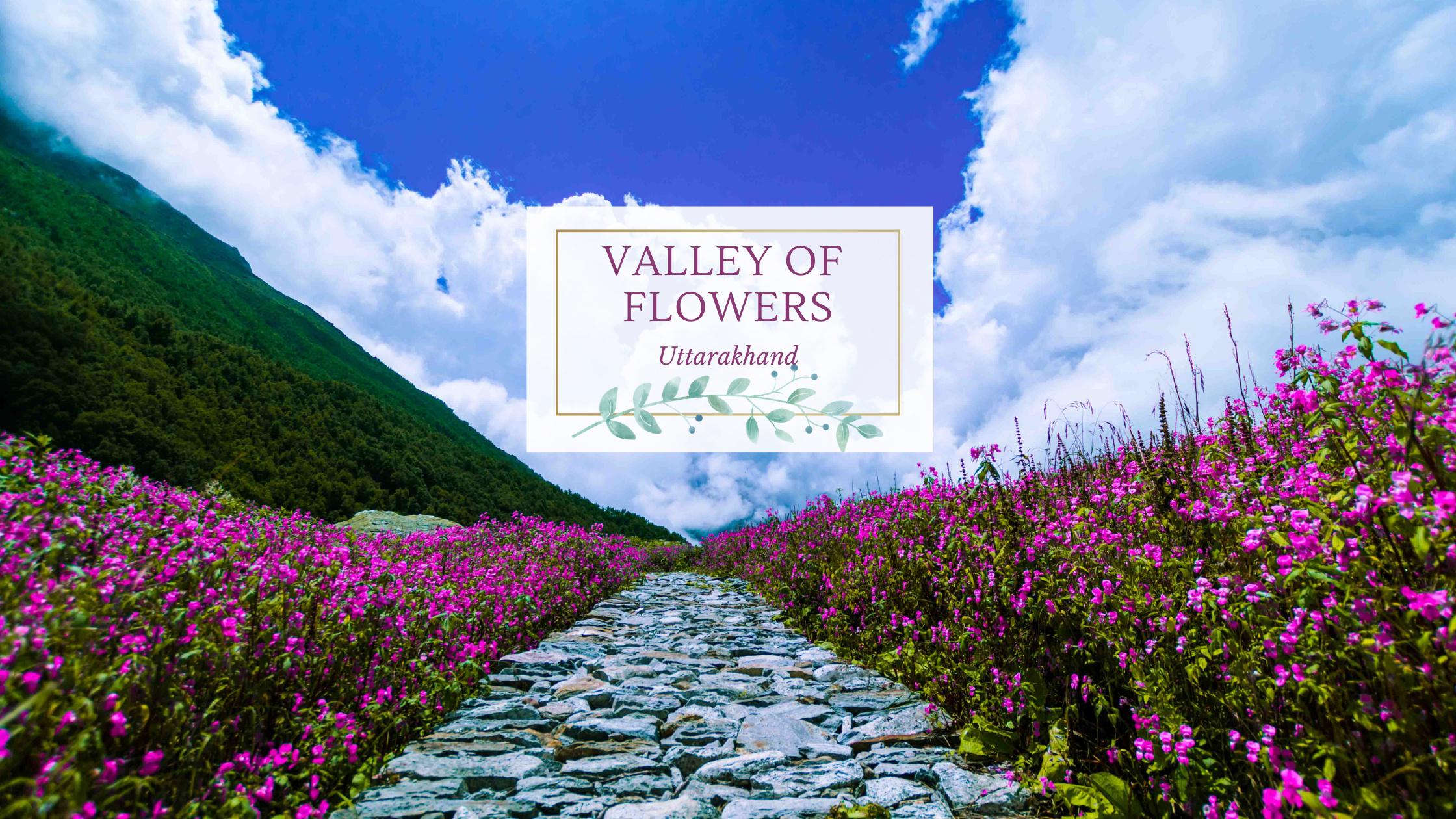 Valley of Flowers, Opening dates 2022, Travel, 2240x1260 HD Desktop