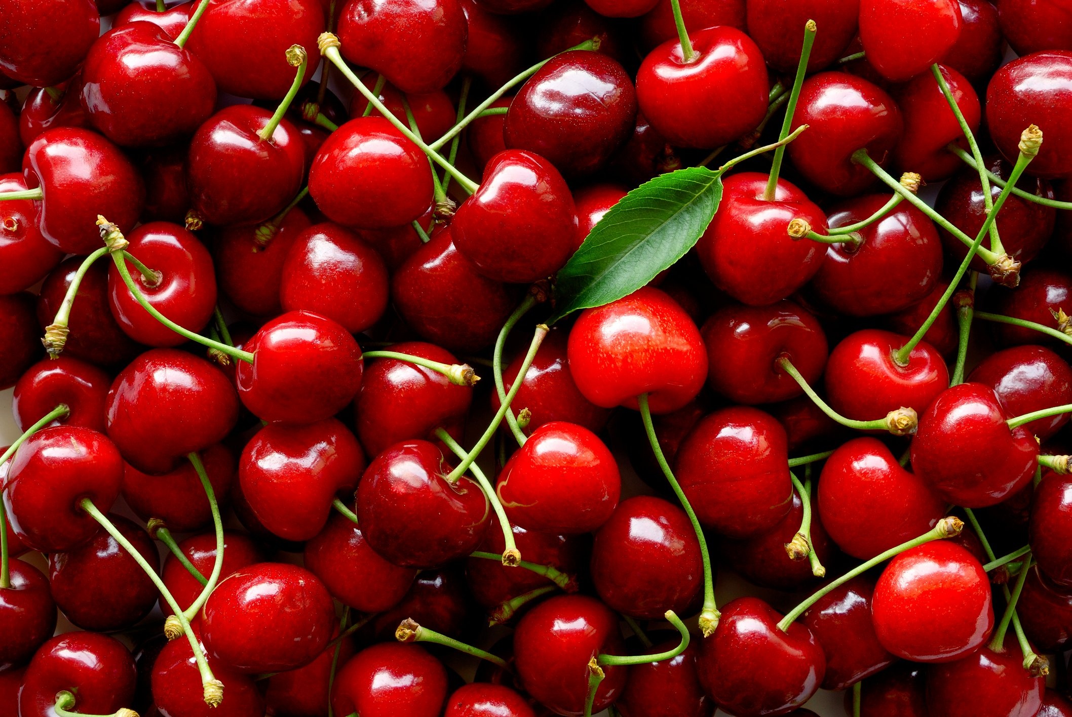 Cherry: Can be consumed fresh, dried, frozen, canned, or pickled. 2120x1420 HD Wallpaper.