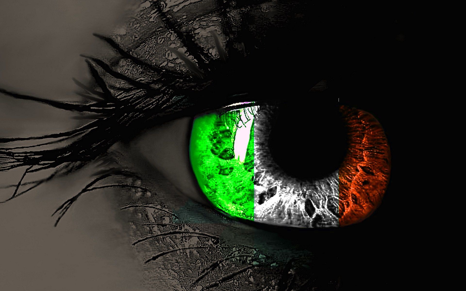 Flag in the eyes, Flagge von Irland Wallpaper, 1920x1200 HD Desktop