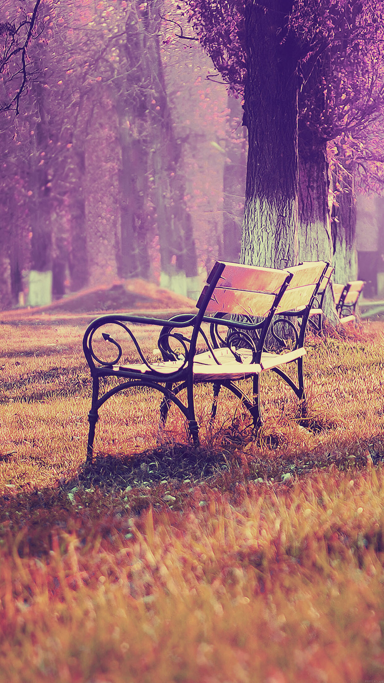 Park (Nature), Wallpaper fall blue, Park chair lonely, Nature, 1250x2210 HD Phone