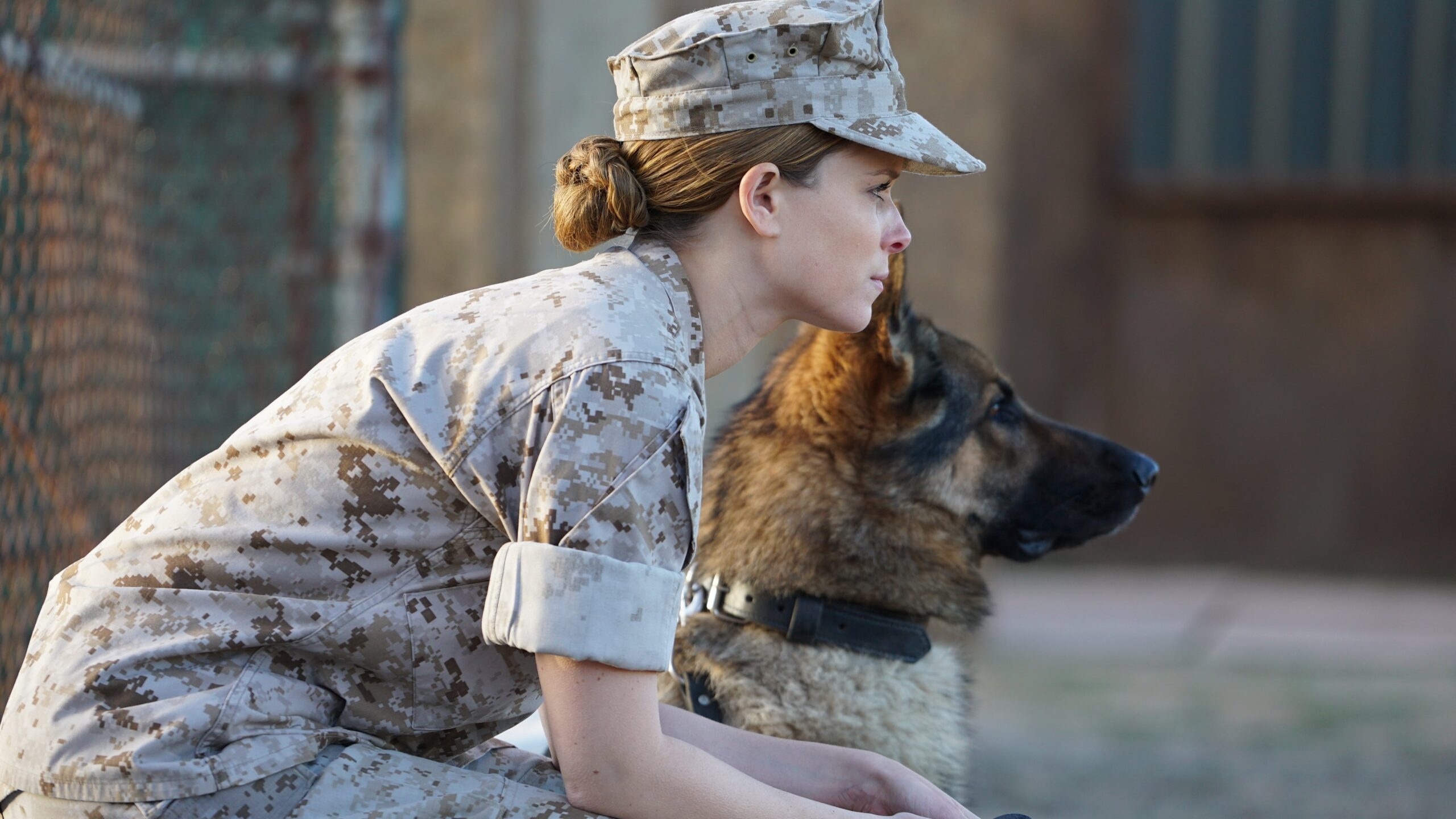 Megan Leavey, Streaming movie online, Watch without limitations, Online movie experience, 2560x1440 HD Desktop