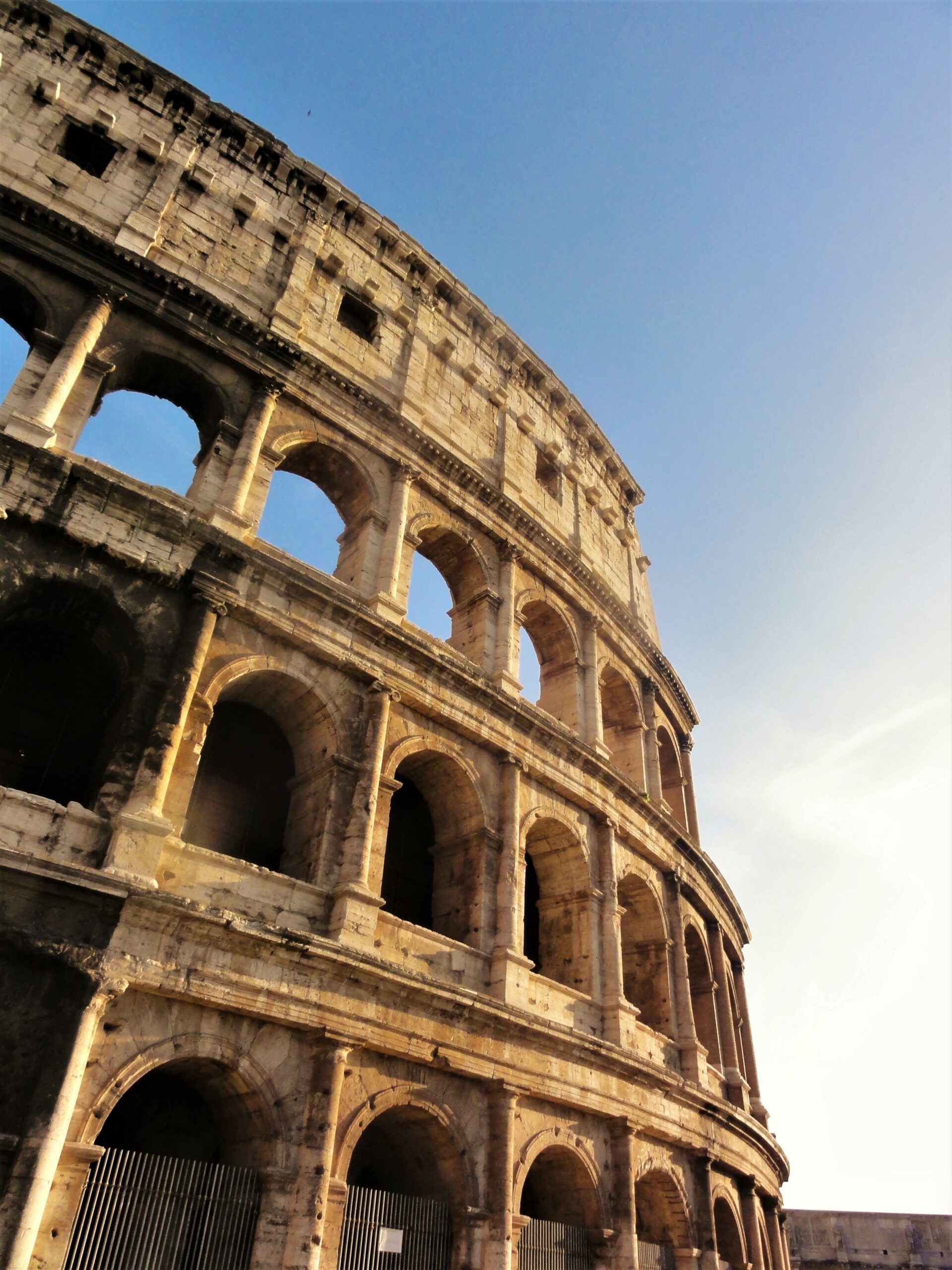 Visiting the Colosseum, Travel guide, Beginner's tips, Vineyard exploration, 1920x2560 HD Handy