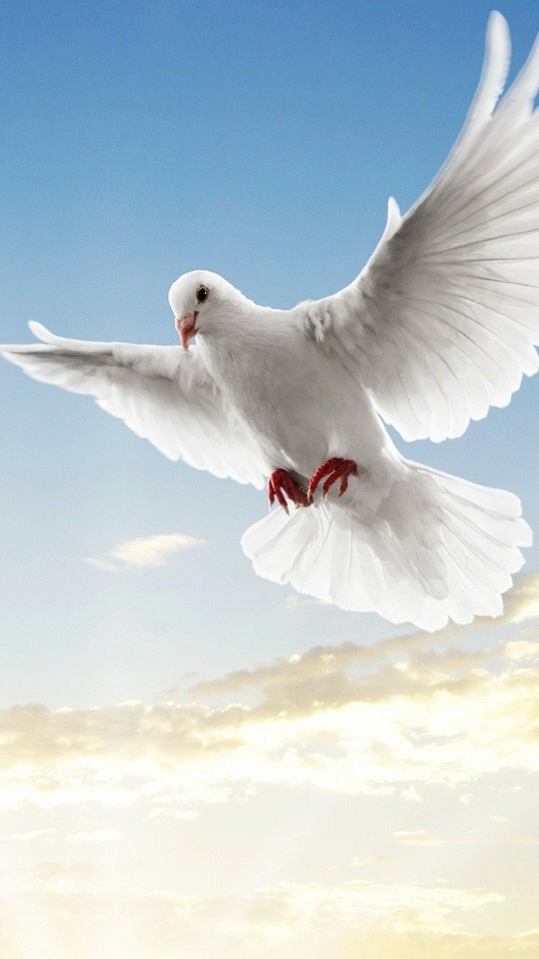 Peace Day: Dove, Peace symbol, 21 September. 1080x1920 Full HD Background.