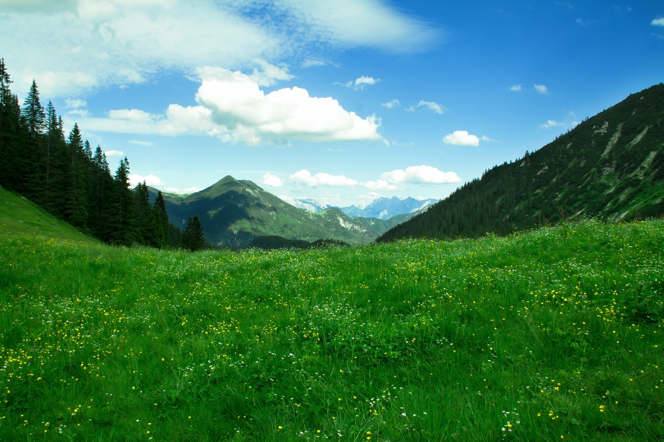Grassland: Switzerland, Mountainous landforms, Highland, Meadow, Vegetation, Wilderness, Valley, Alps, Mount scenery. 2160x1440 HD Background.