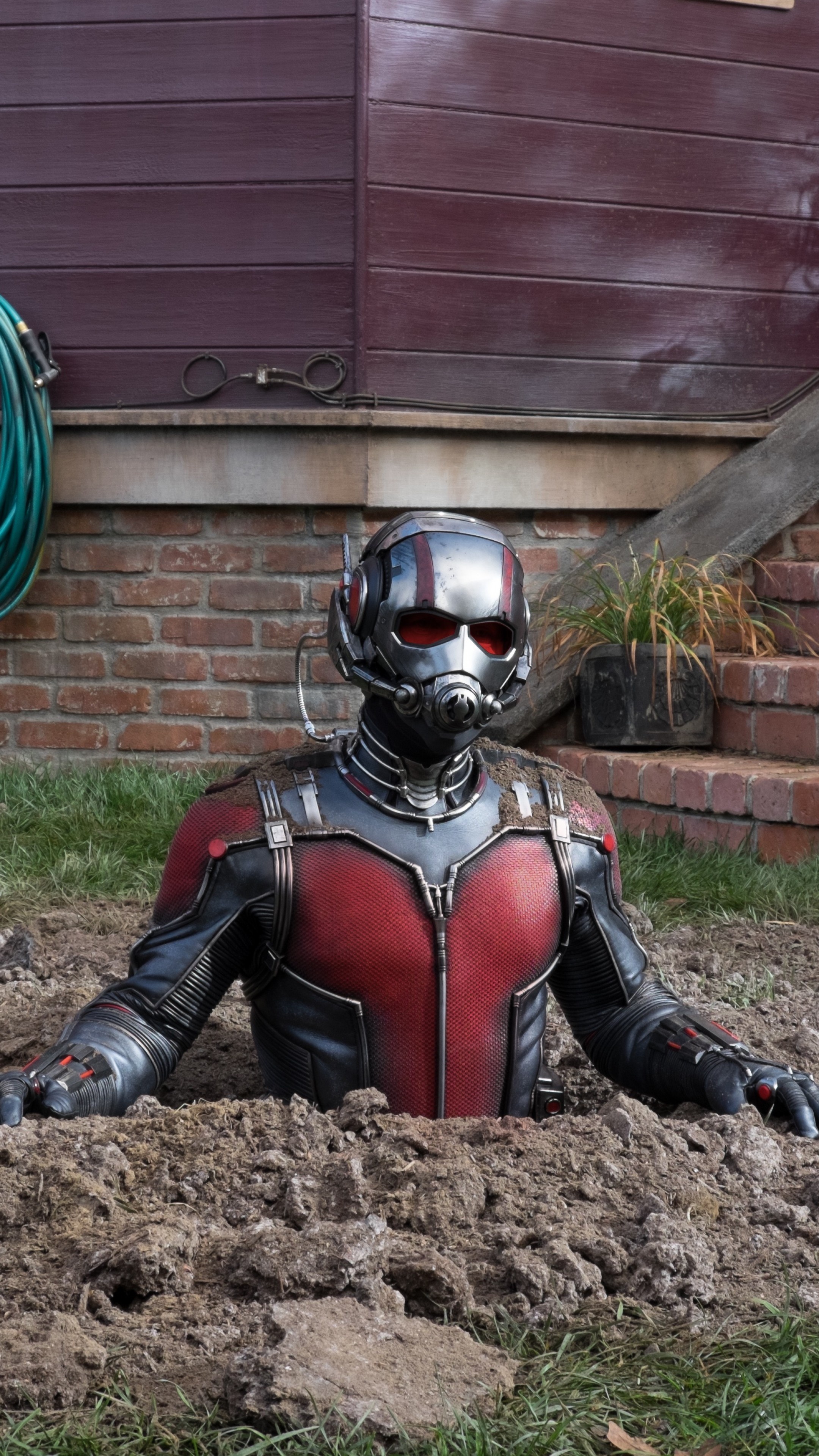 Paul Rudd: Plays Ant-Man in the Marvel Cinematic Universe, Superhero. 2160x3840 4K Background.