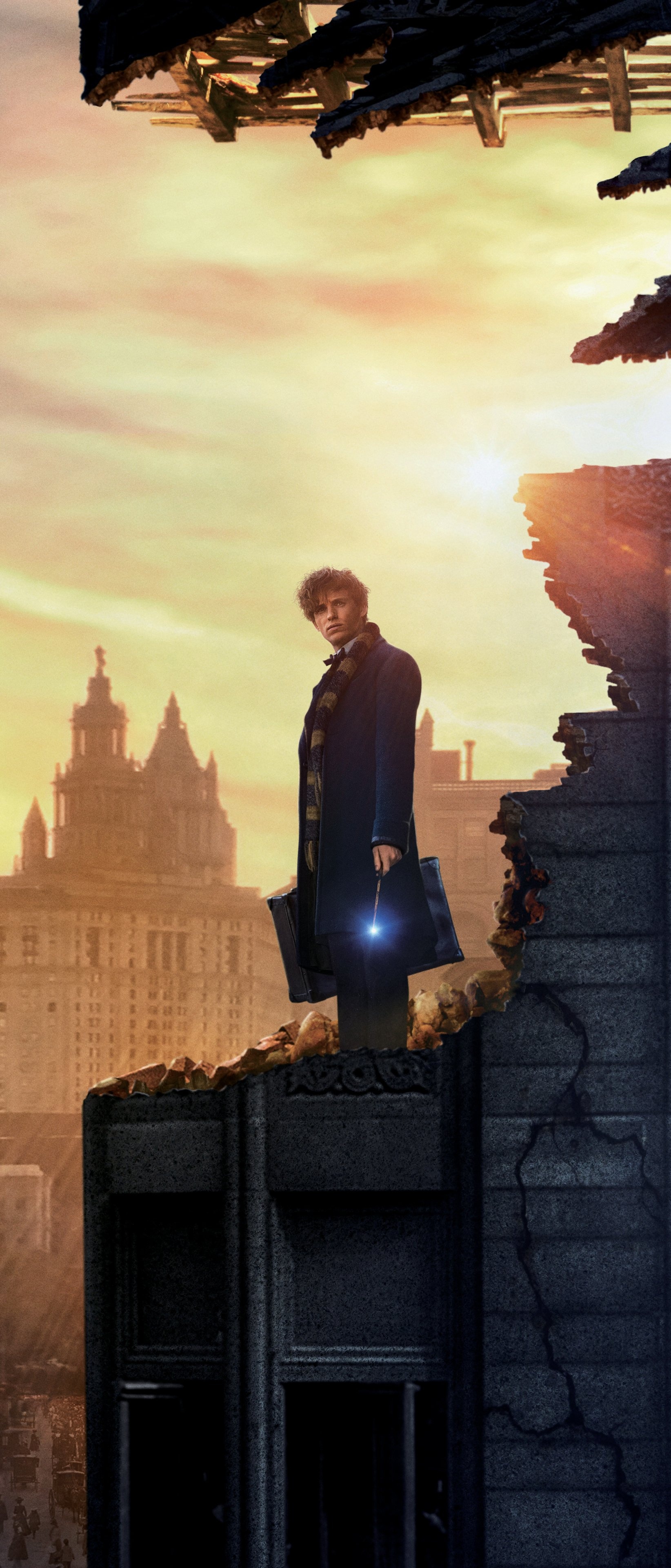 Movie, Fantastic Beasts, Where to Find Them, 1650x3840 HD Handy