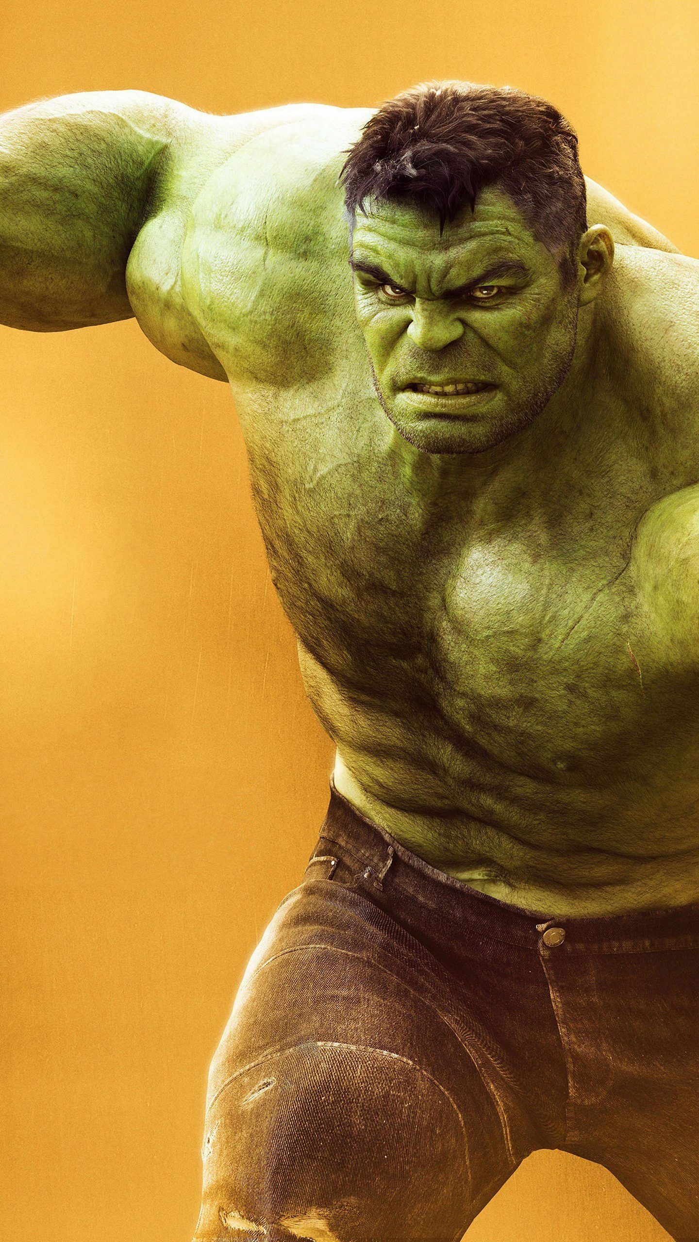 Hulk, Marvel Comics, Memes, Updates, 1440x2560 HD Phone