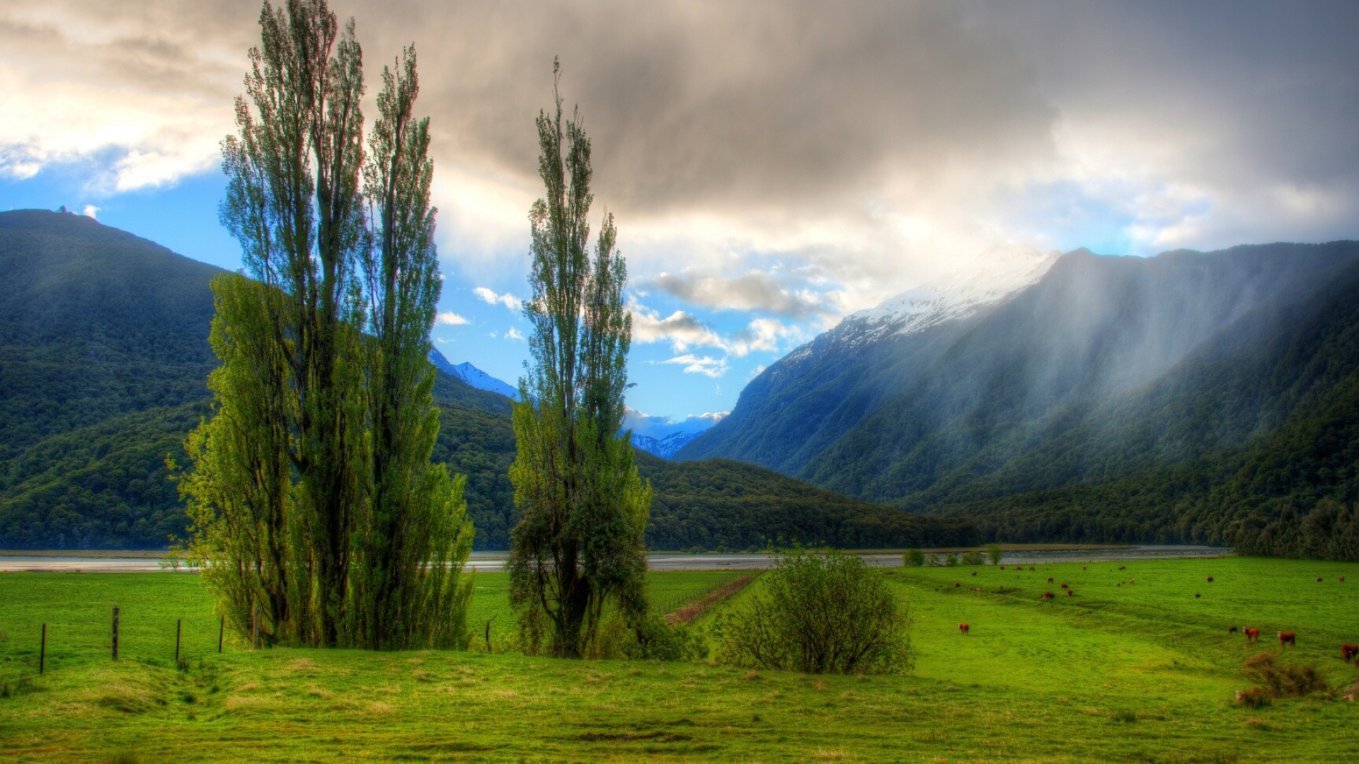 New Zealand: Landscape, The sixth-largest island country by area. 1920x1080 Full HD Background.