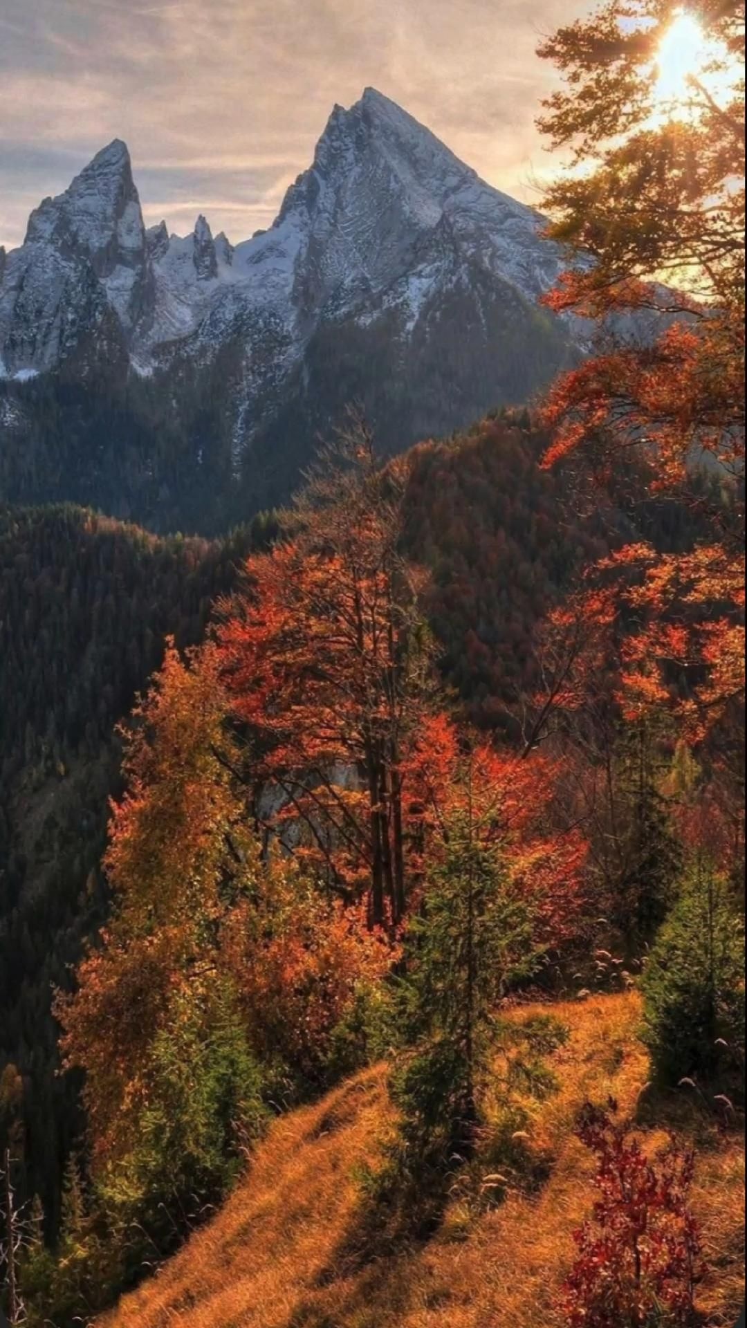 Altai Mountains, Aesthetic places, Scenery, 1080x1920 Full HD Phone