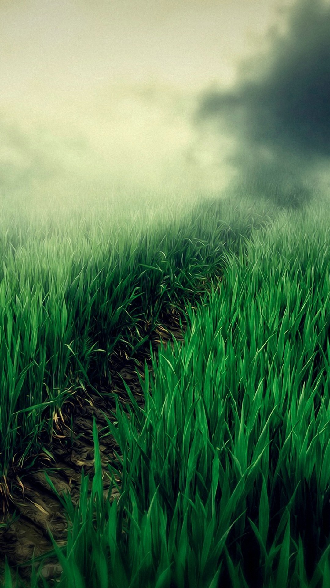 Grass wallpapers, Green nature, Vibrant landscapes, Natural textures, 1080x1920 Full HD Phone