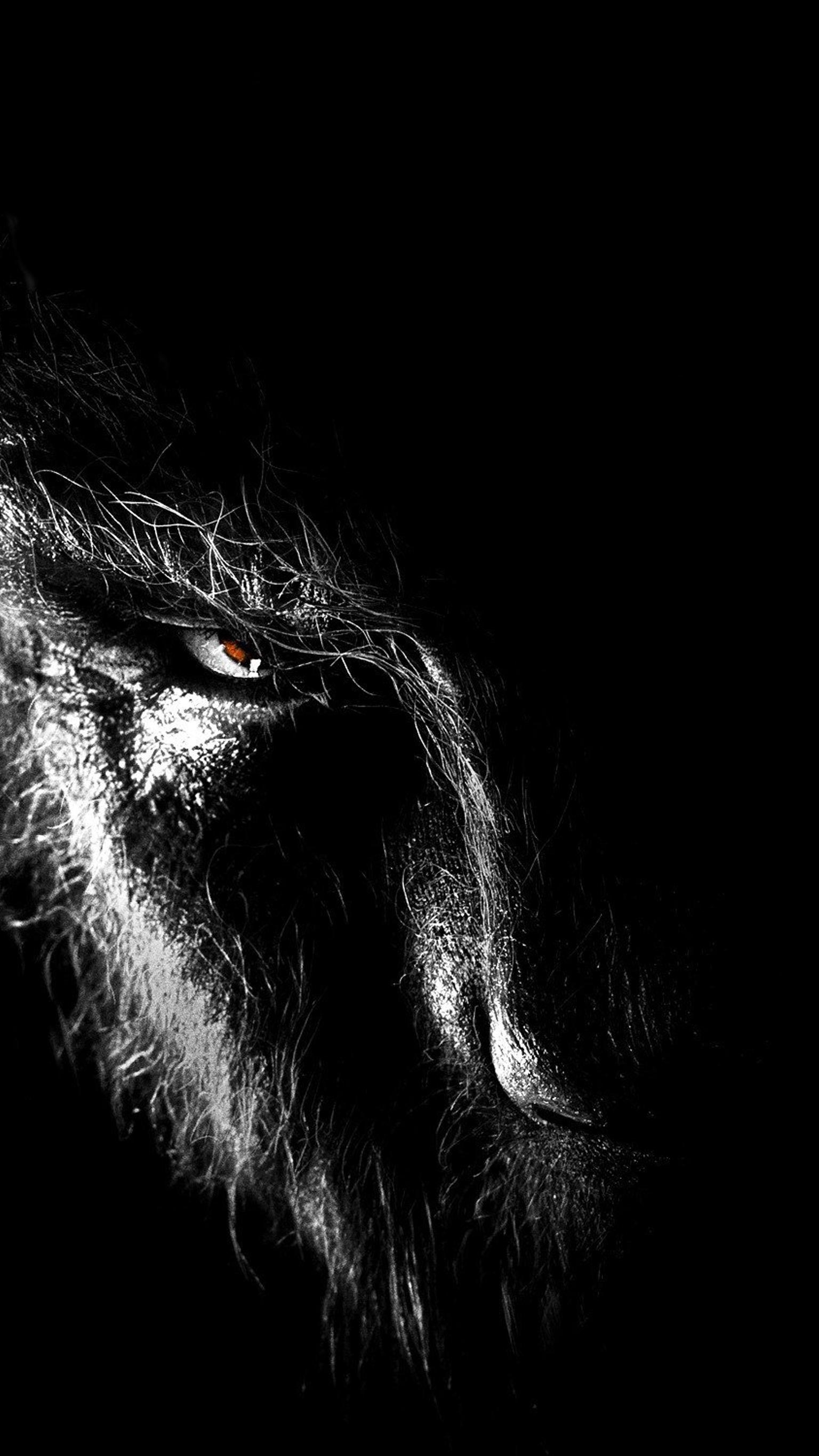 Wolfman wallpapers, Dark visuals, Gothic horror, Mysterious creature, 1540x2740 HD Phone