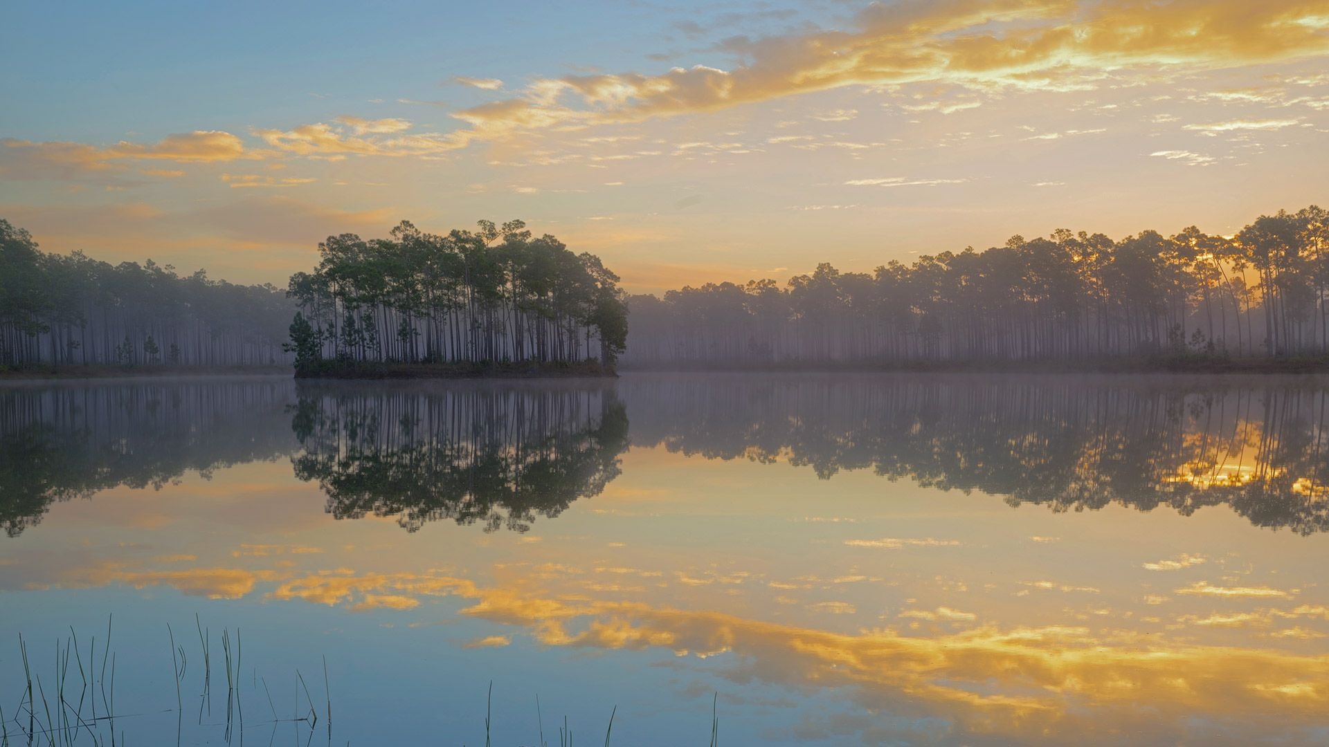 Long Pine Key im Everglades National Park, 1920x1080 Full HD Desktop