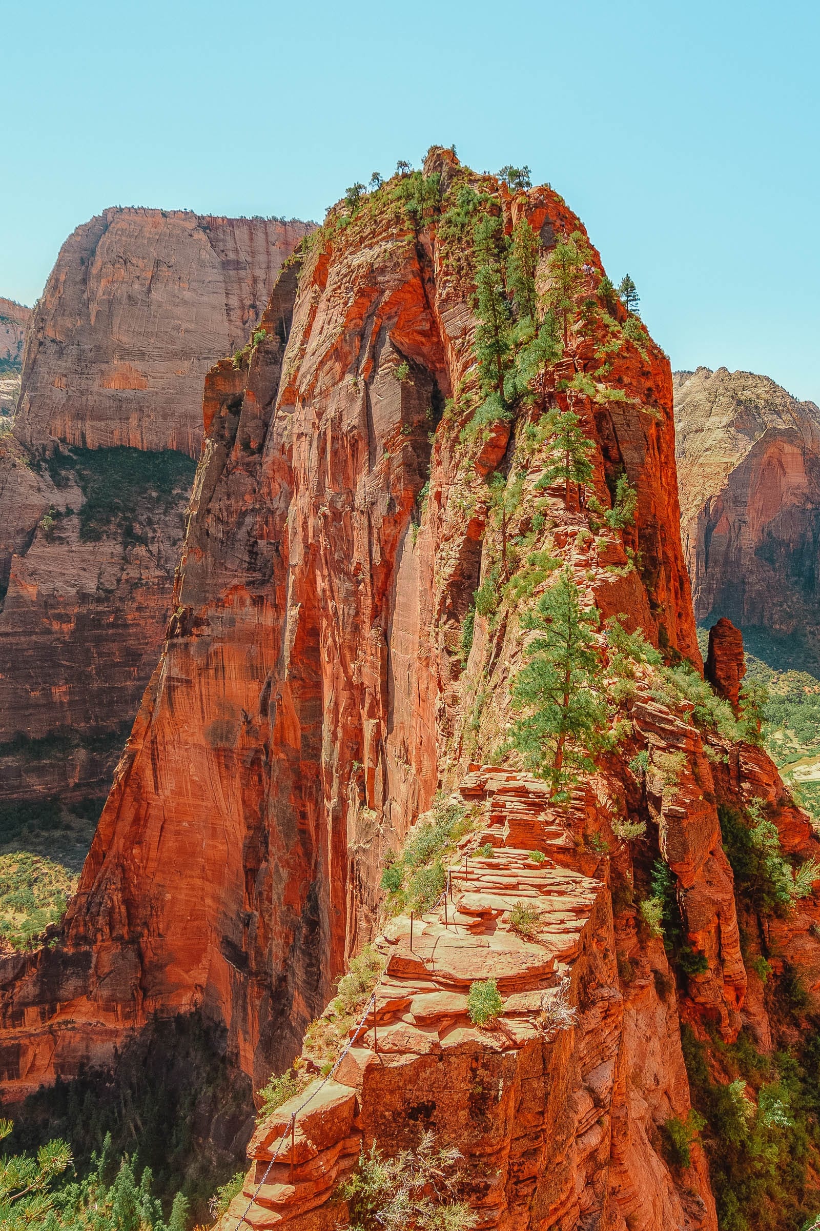 Zion National Park, Best things, Hand luggage, USA, 1600x2400 HD Phone
