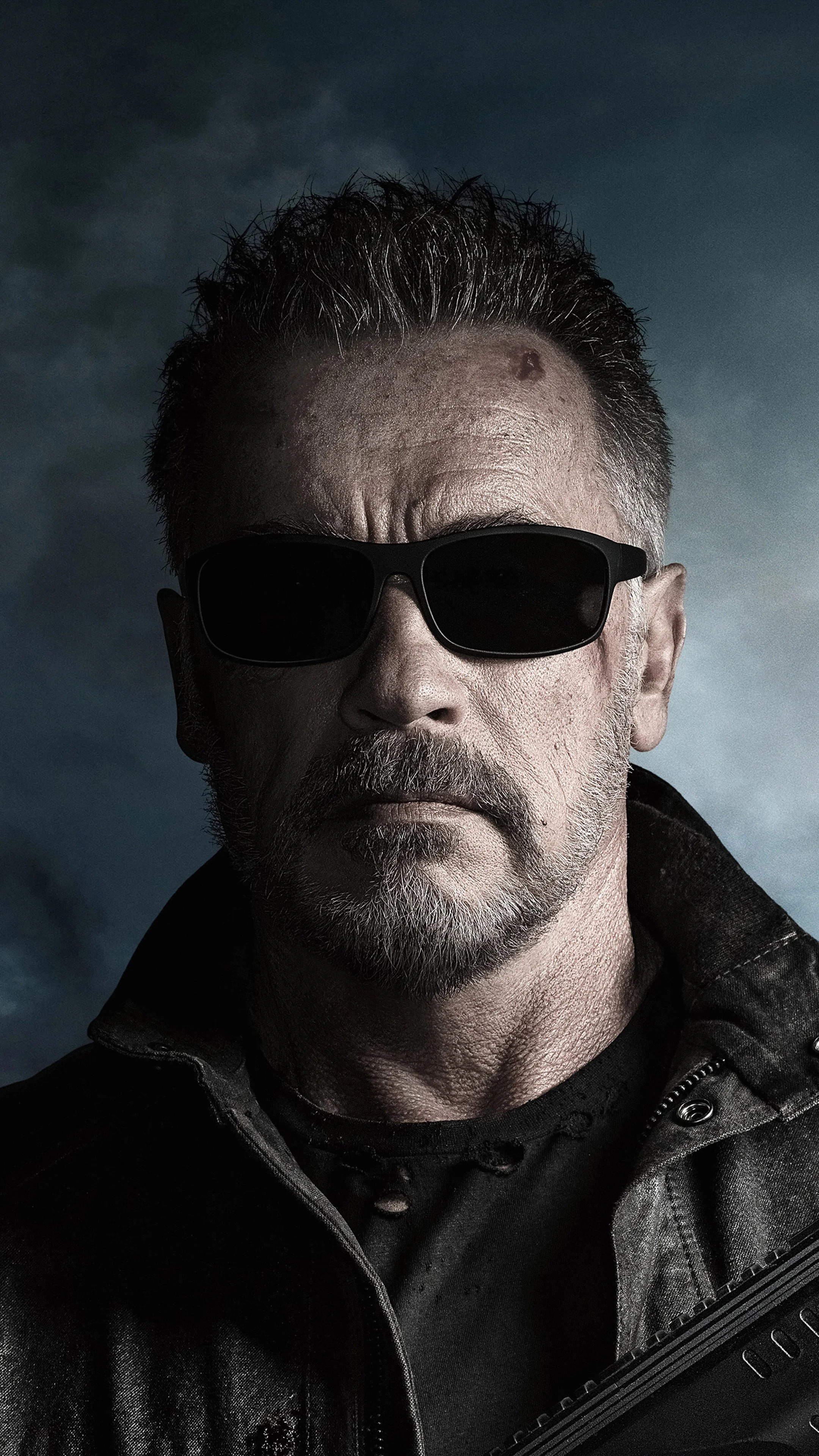 Terminator: Dark Fate: Arnold Schwarzenegger, An Austrian and American actor, businessman, filmmaker, politician. 2160x3840 4K Wallpaper.