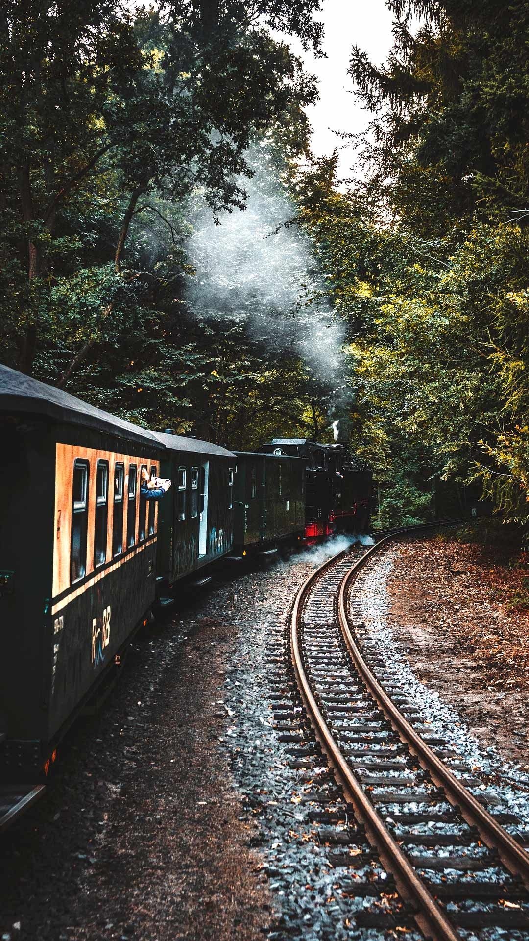 Railway adventure, Forest mobile wallpapers, Tracks of beauty, Traveling thrill, 1080x1920 Full HD Phone