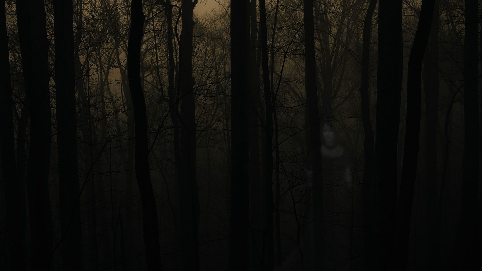 Haunted Forest, Top free backgrounds, Haunted forest wallpapers, 1920x1080 Full HD Desktop