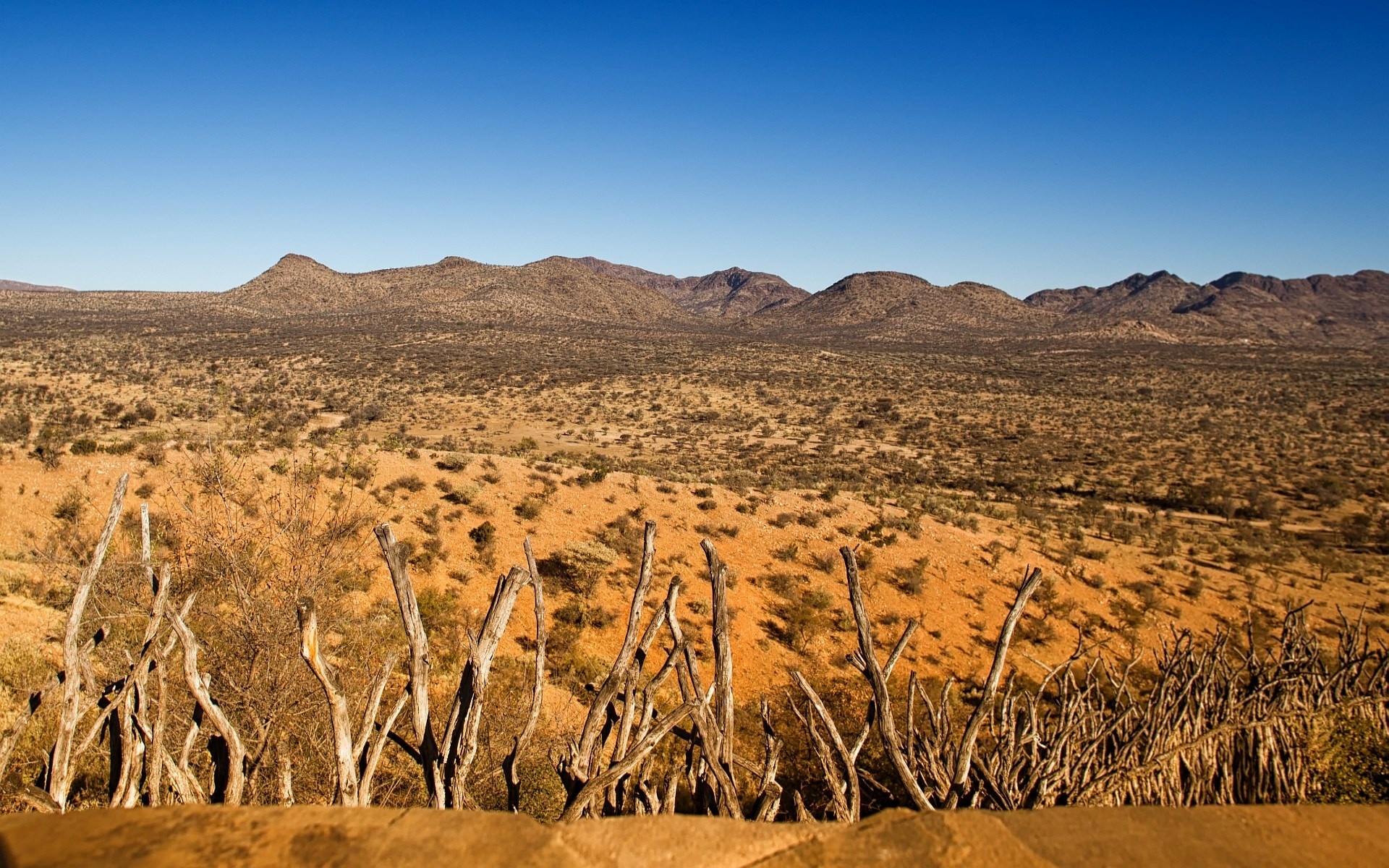 Kalahari Desert, Travels, Africa, Desert, 1920x1200 HD Desktop