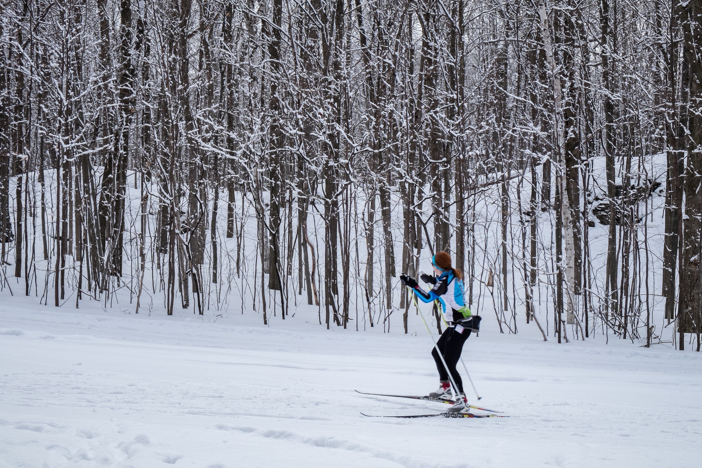 Cross-country skiing, Trails near Fairbanks, Alaska, Winter recreational activity, 2450x1640 HD Desktop