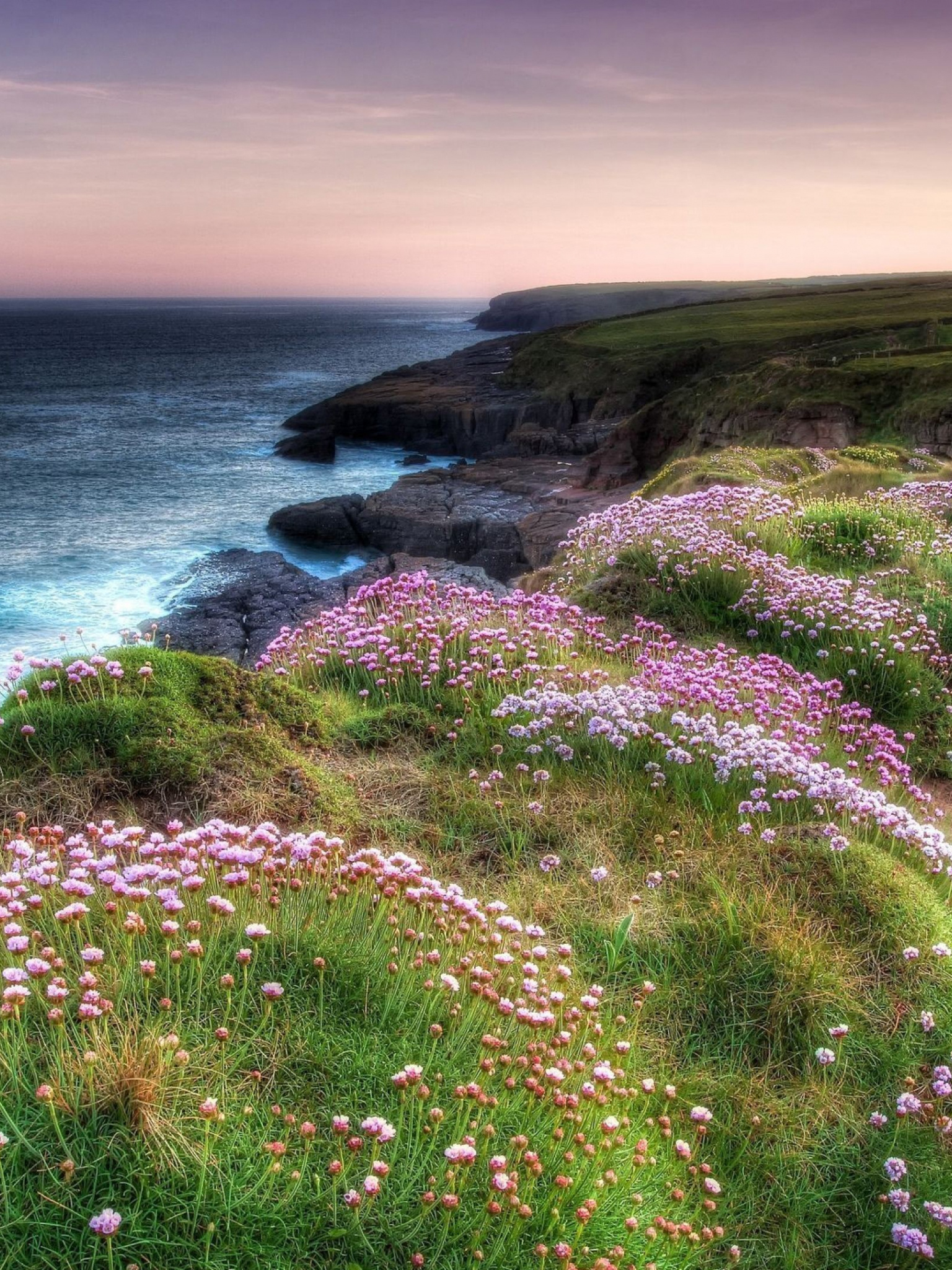 Irish countryside wallpapers, Desktop mobile tablet, Northern Ireland, Scenic beauty, 1540x2050 HD Handy