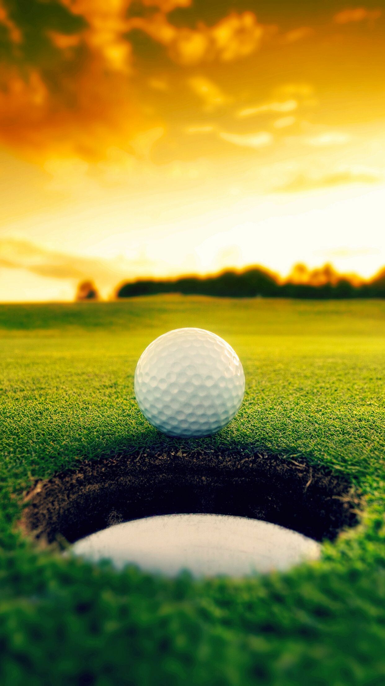 Golf: A game played on specially-designed course, Cup, Green. 1250x2210 HD Background.