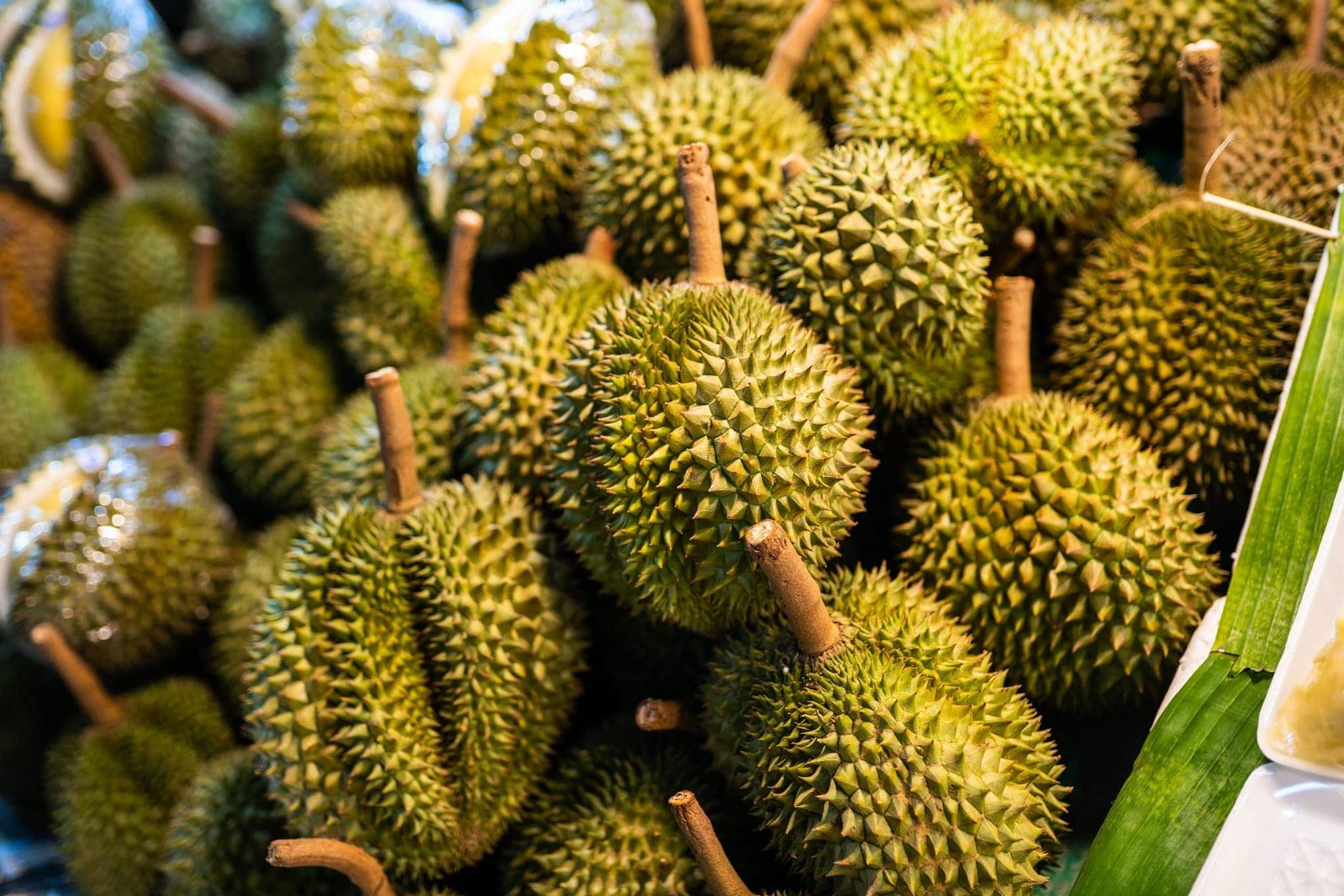Durian: Distinctive large size, spiky outer shell, and horrible smell. 2040x1360 HD Wallpaper.