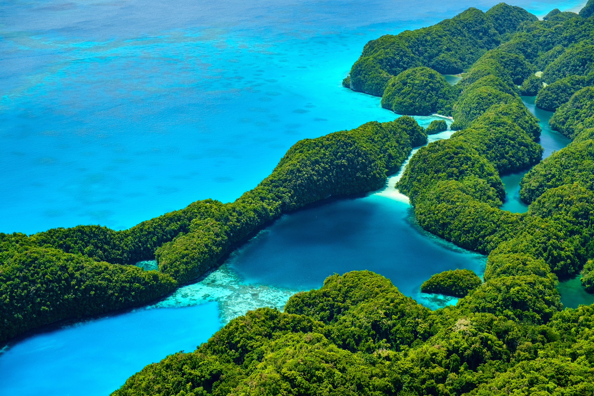 Micronesia, Pacific scuba diving, Deep blue destinations, Federated states, 2000x1340 HD Desktop