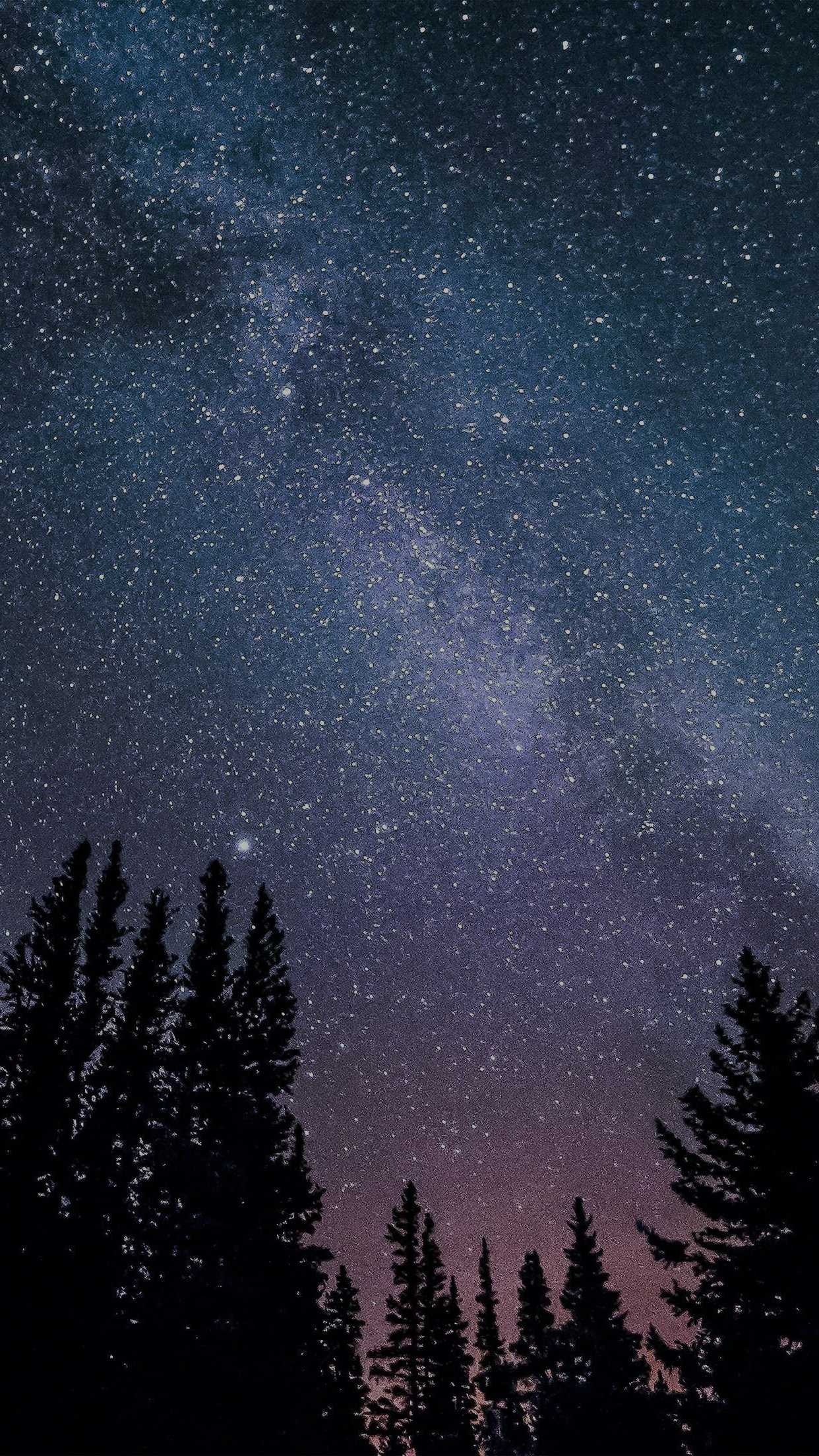 Night sky wallpaper, Breathtaking beauty, Celestial enchantment, 1250x2210 HD Phone