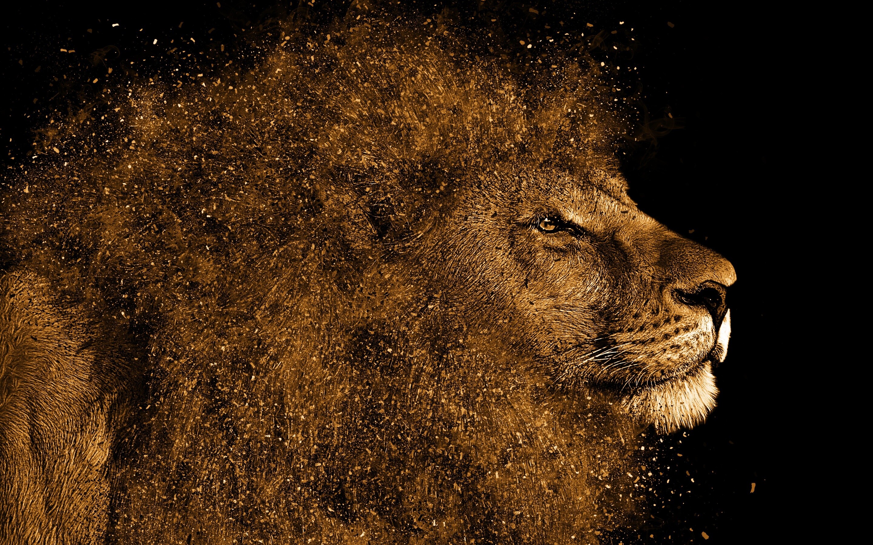 Lion: Groups of male lions are called "coalitions", Art, Wild cat. 2880x1800 HD Wallpaper.