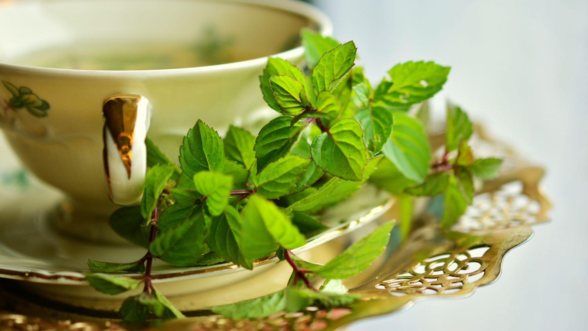 Peppermint leaves tea cup, HD image, Picture background, Refreshing drink, 1920x1080 Full HD Desktop