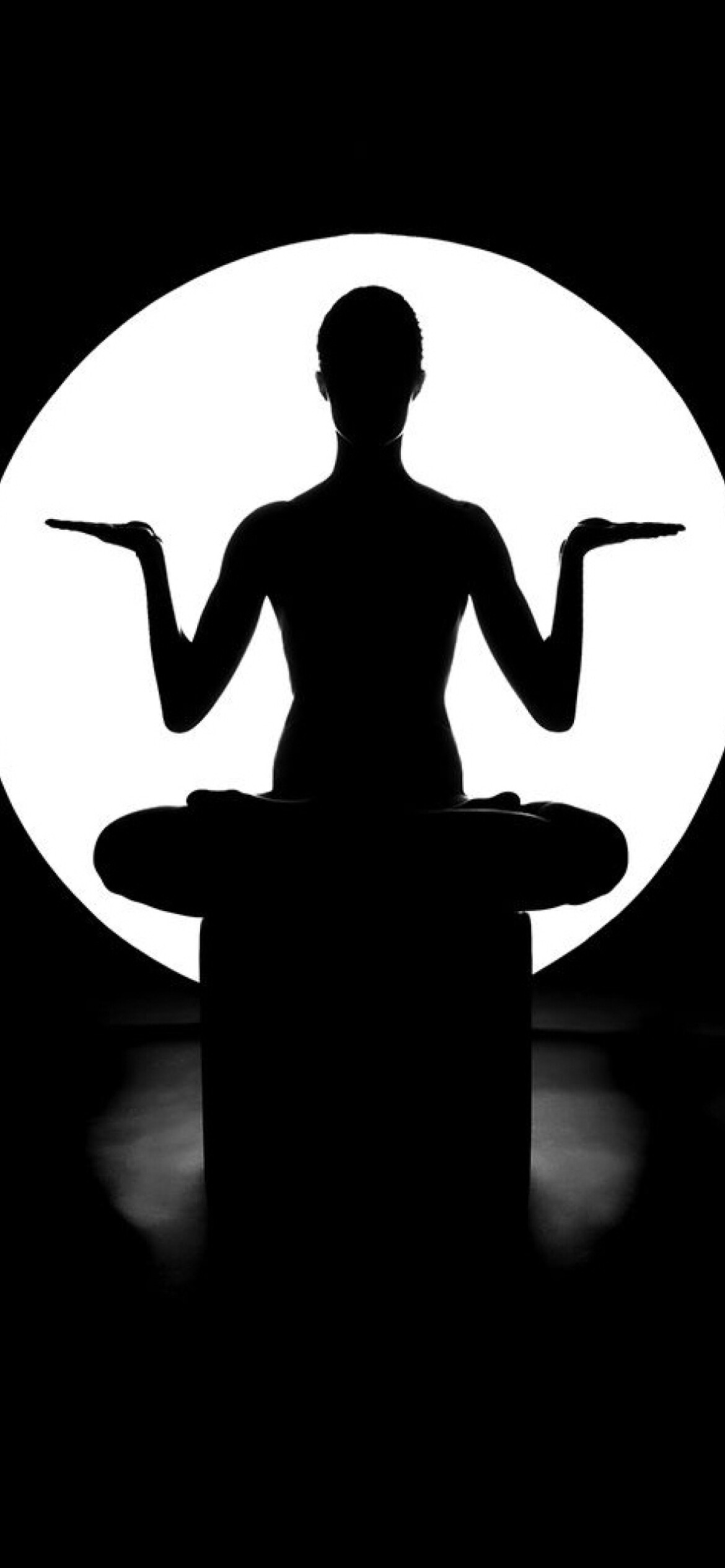 Yoga: Specific exercises, Focusing on posture and breathing techniques, Monochrome. 1170x2540 HD Background.
