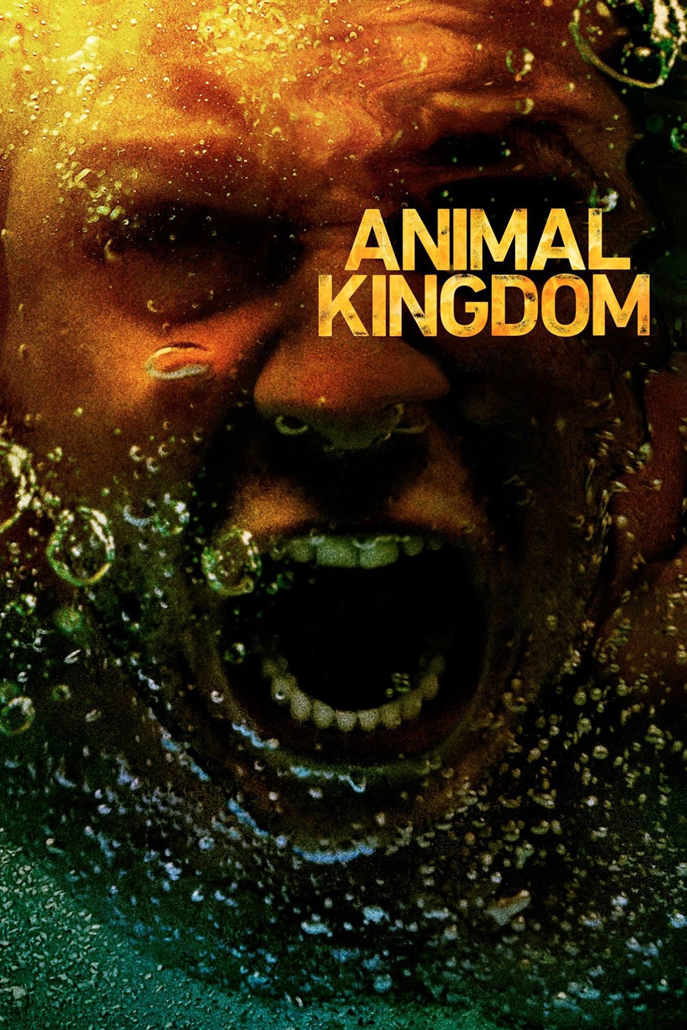 Animal Kingdom, TV show poster, Image Abyss, 1360x2040 HD Handy