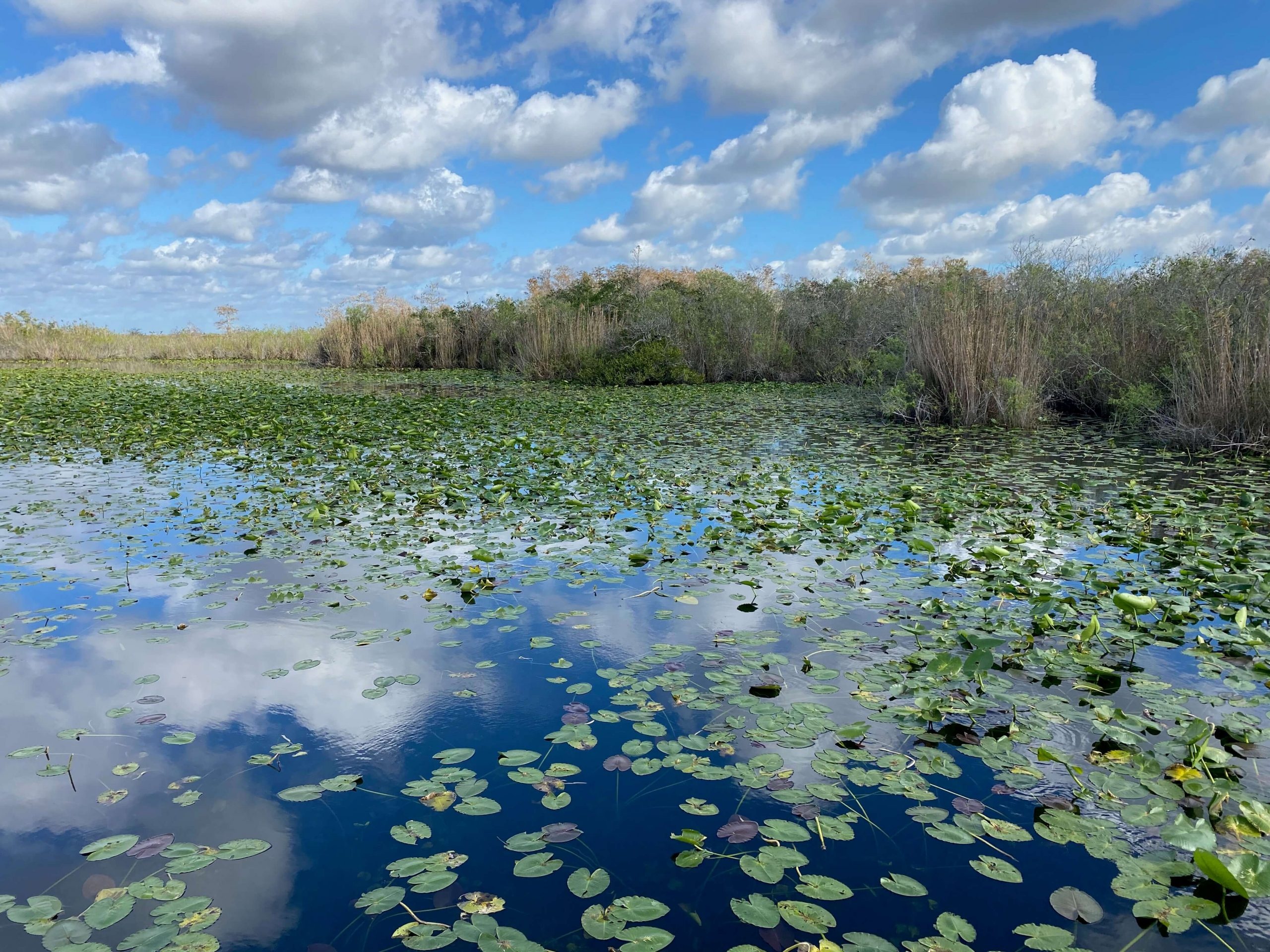 Spannende Aktivitäten im Everglades-Nationalpark, 2560x1920 HD Desktop