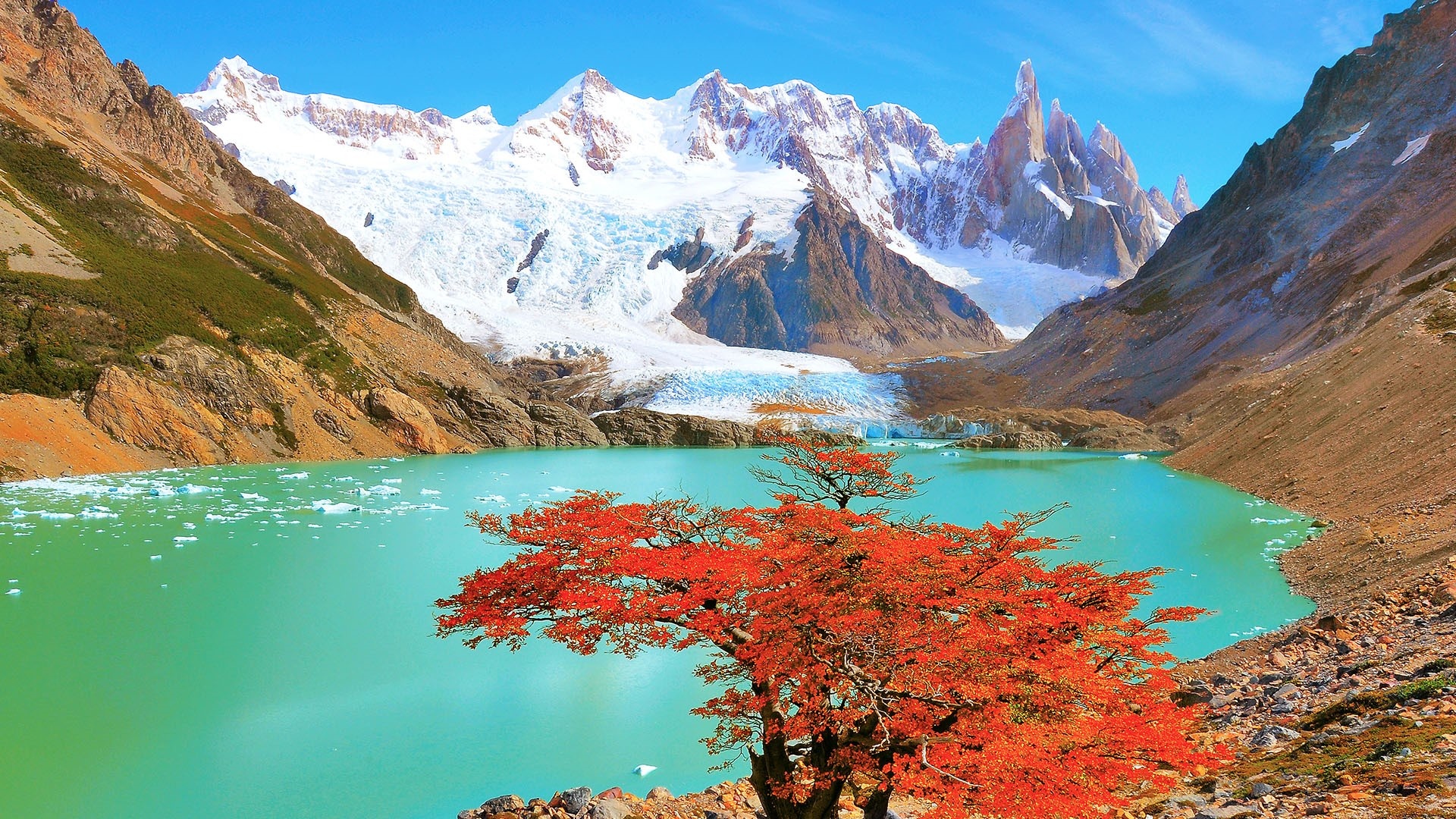 Los Glaciares National Park travels, Autumn tree, Cerro Torre mountain, Spotlight images, 1920x1080 Full HD Desktop