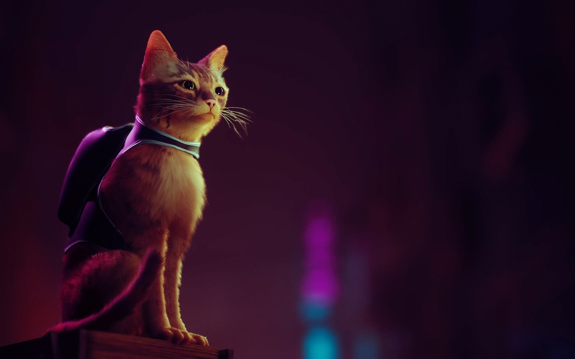 Stray (Game): The main character, Separated from its feline family. 1920x1200 HD Wallpaper.