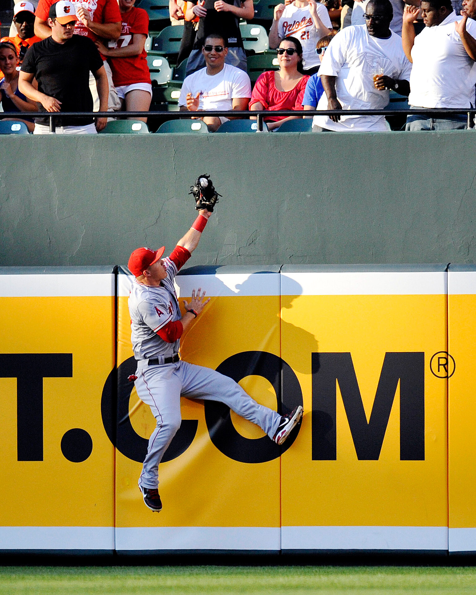 Mike Trout: An American professional baseball center fielder, The Los Angeles Angels. 1540x1920 HD Background.