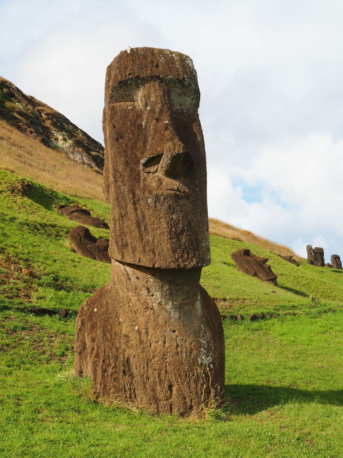 Moai: Rano Raraku: the birthplace of the human statues on Easter Island. 1440x1920 HD Background.