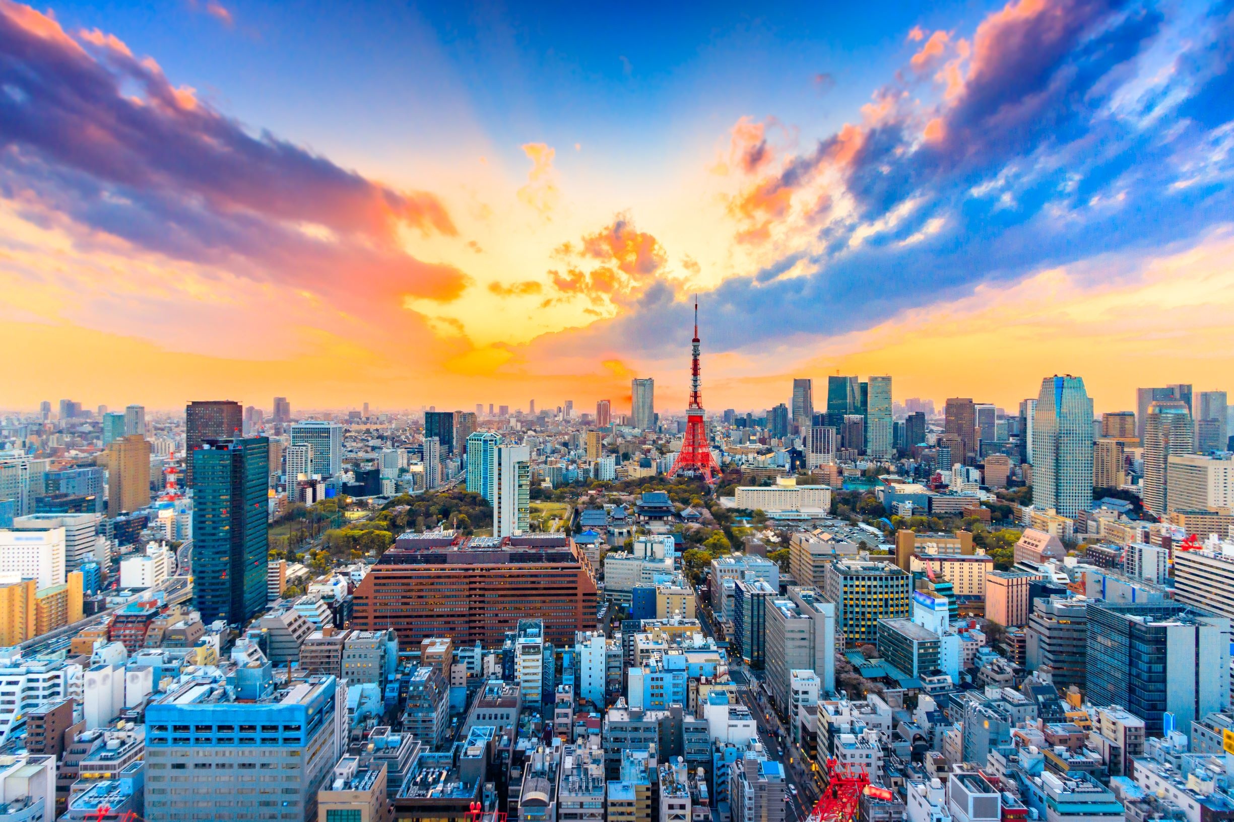 Study abroad in Tokyo, College program, Cultural immersion, Overseas education, 2450x1640 HD Desktop